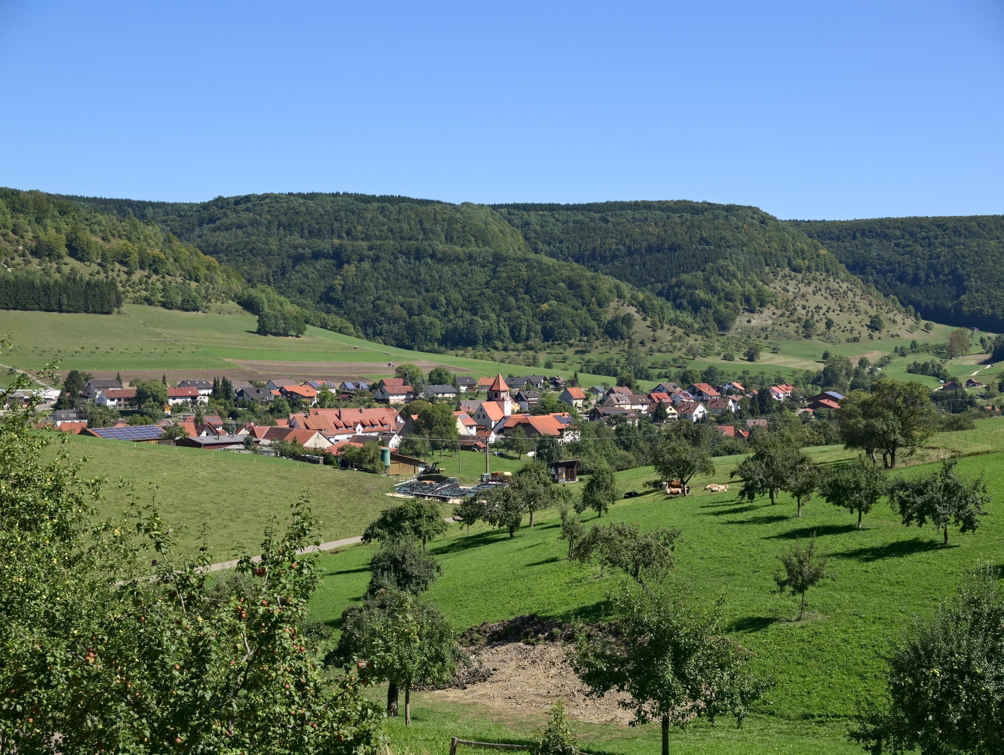 Degenfeld