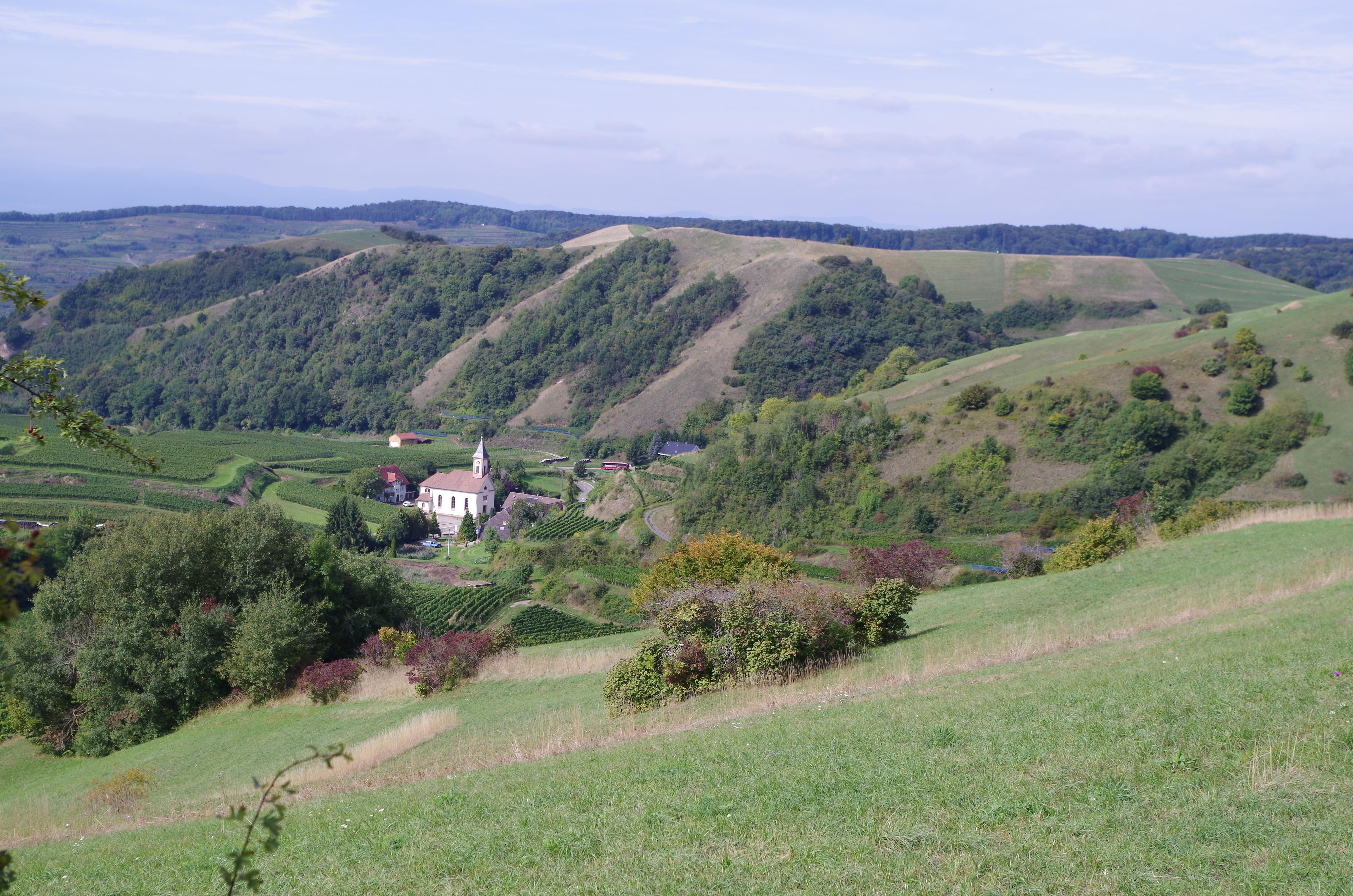 Haselschacher Buck
