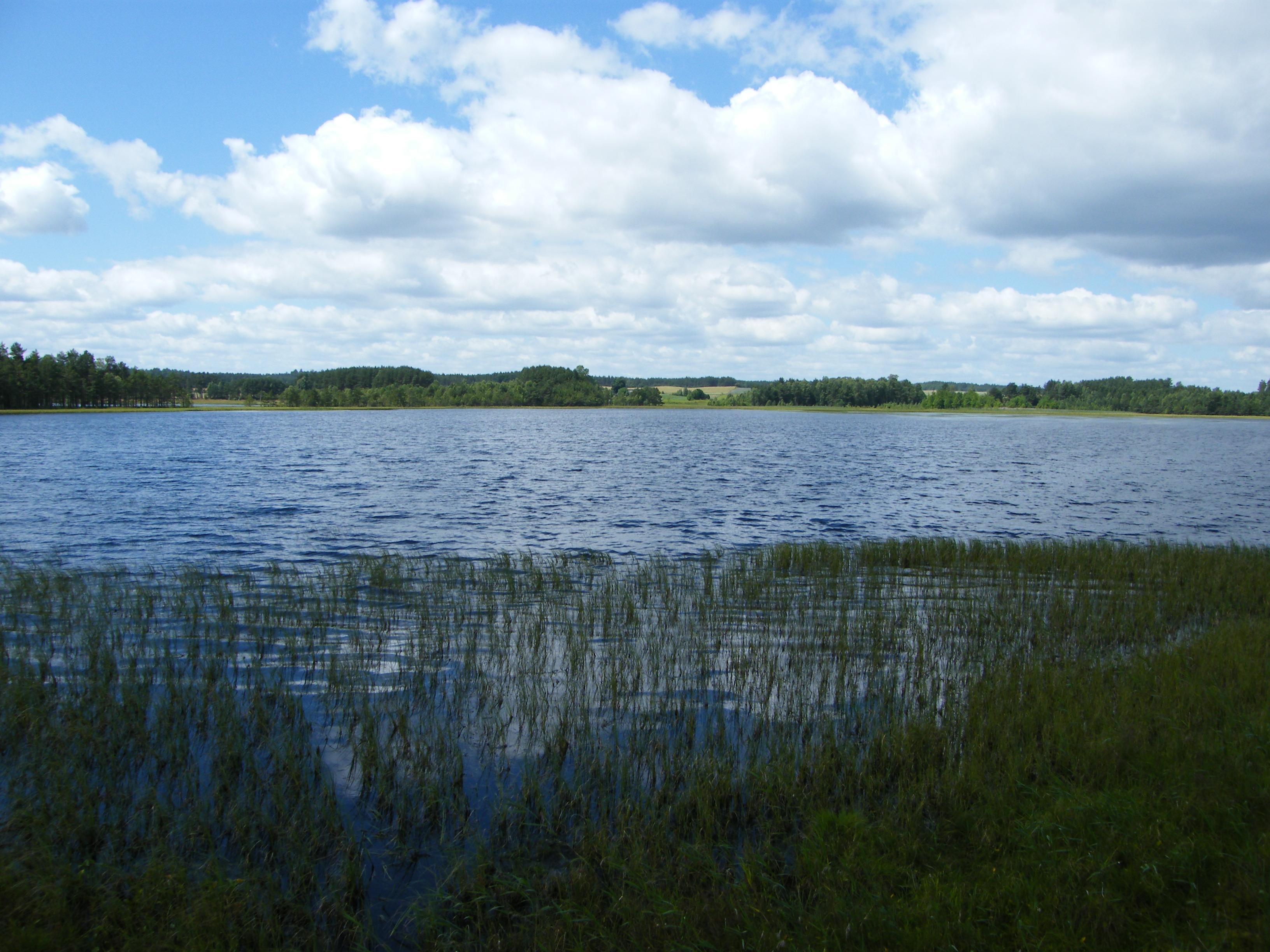 Lipno