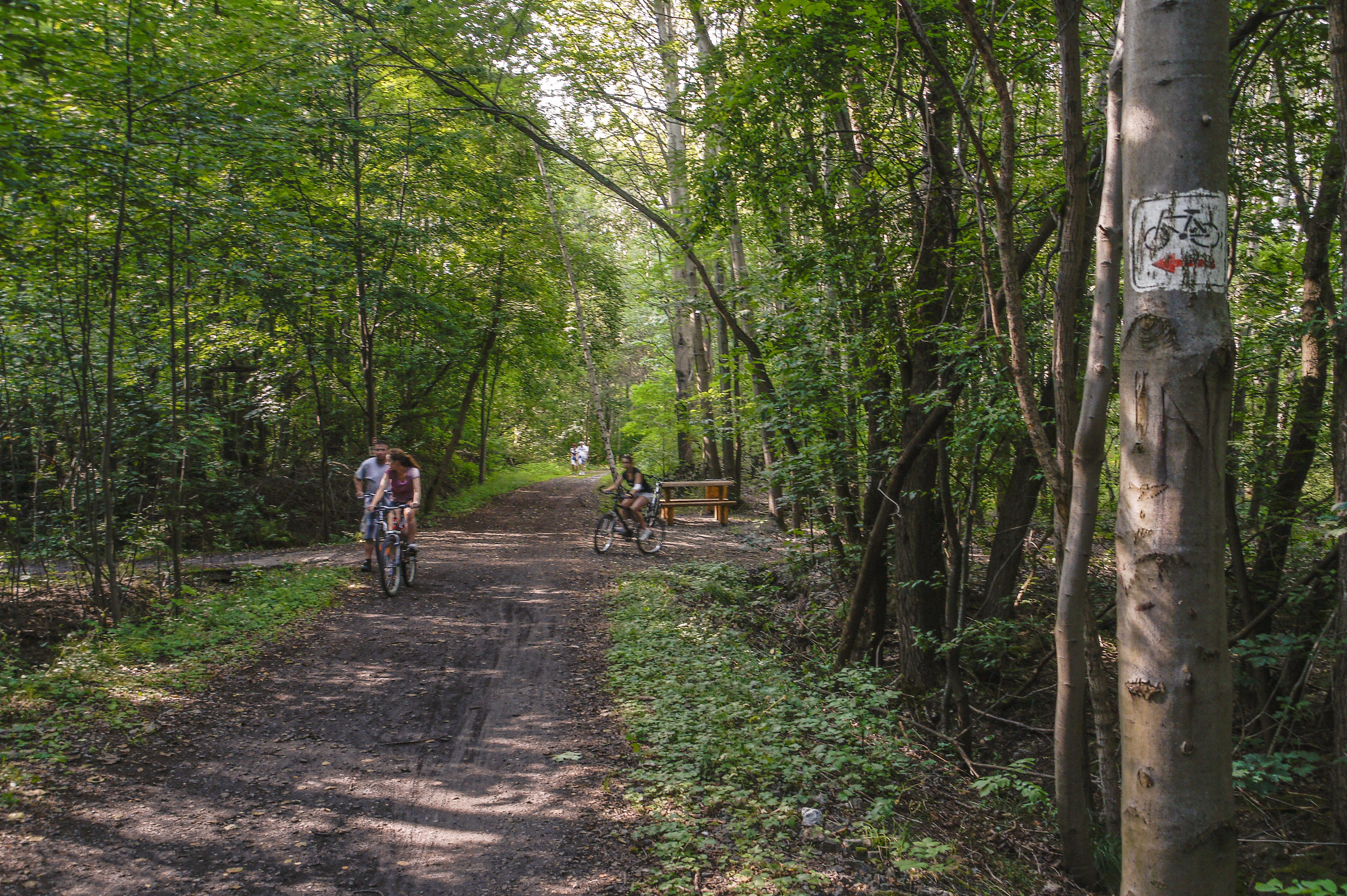 Park Tysiąclecia