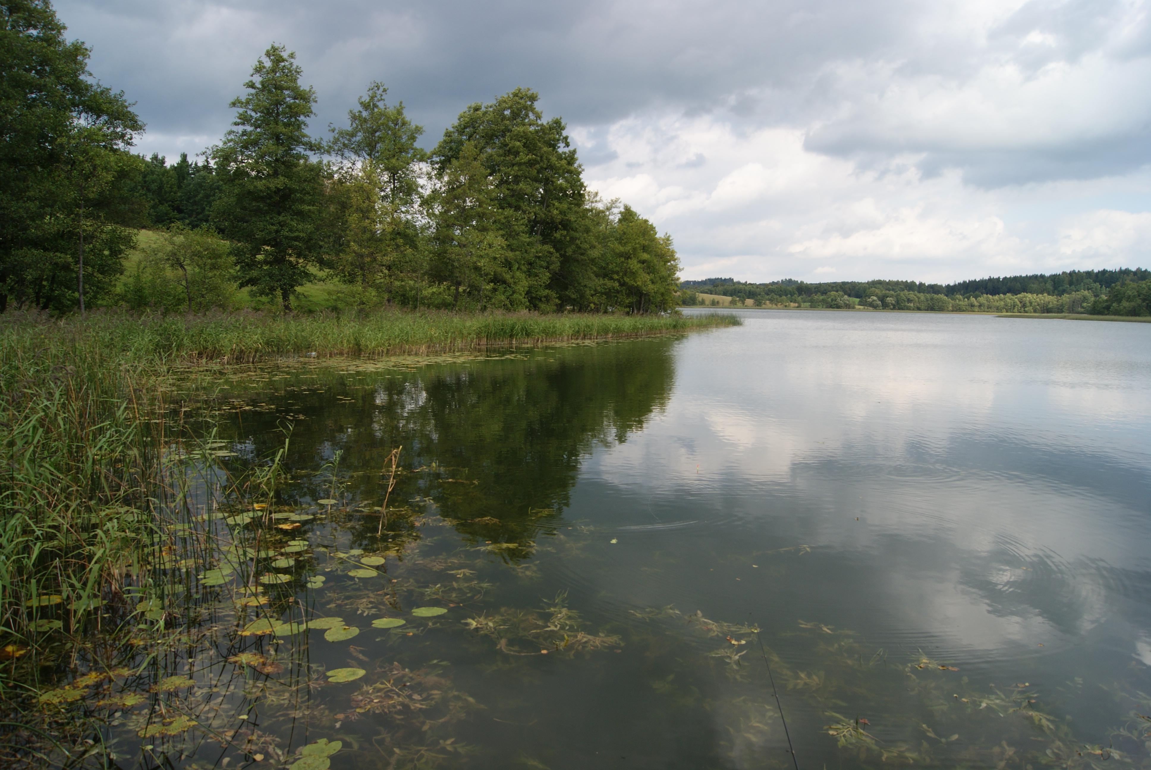Kameduł