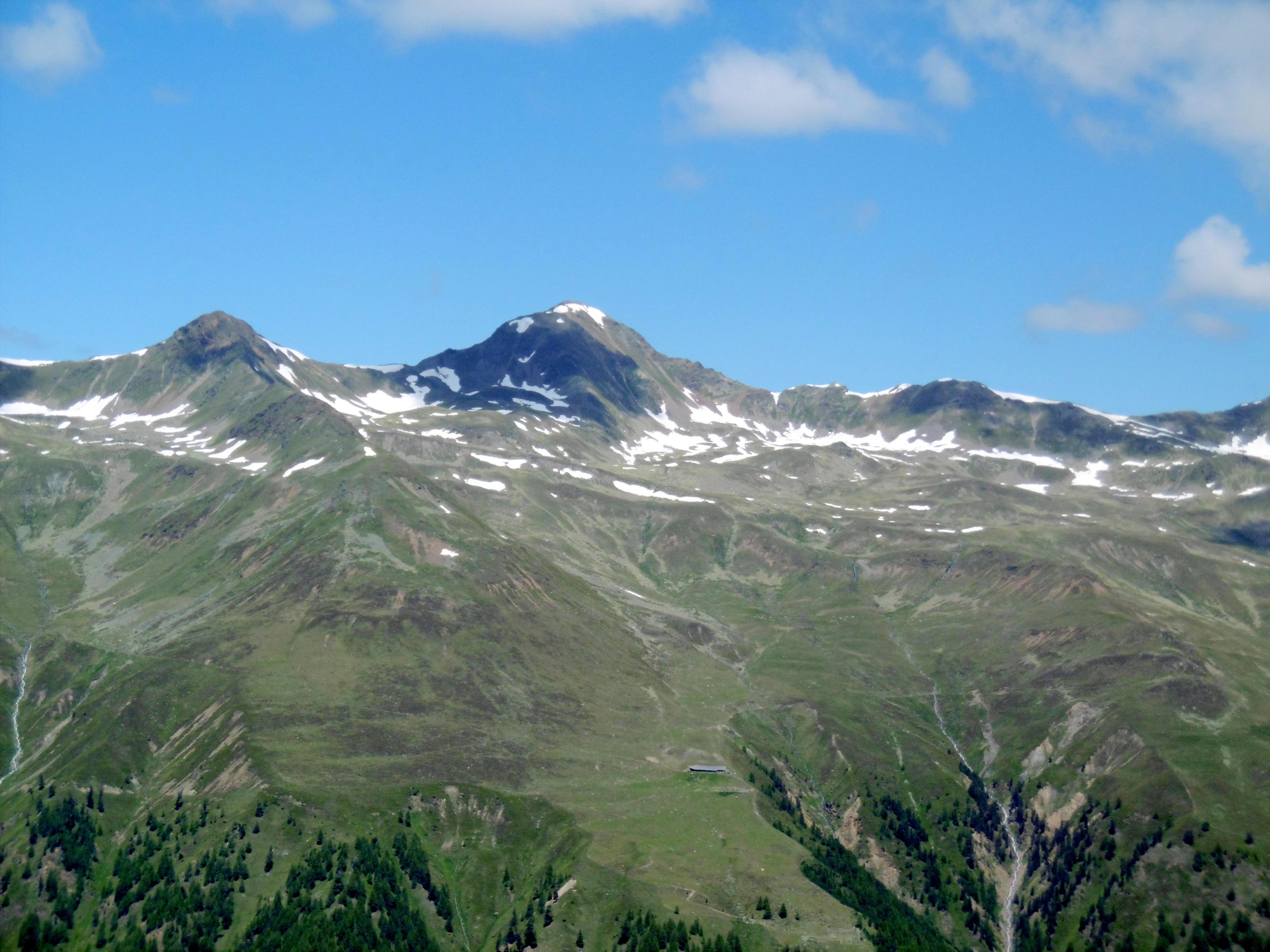 Großer Schafkopf