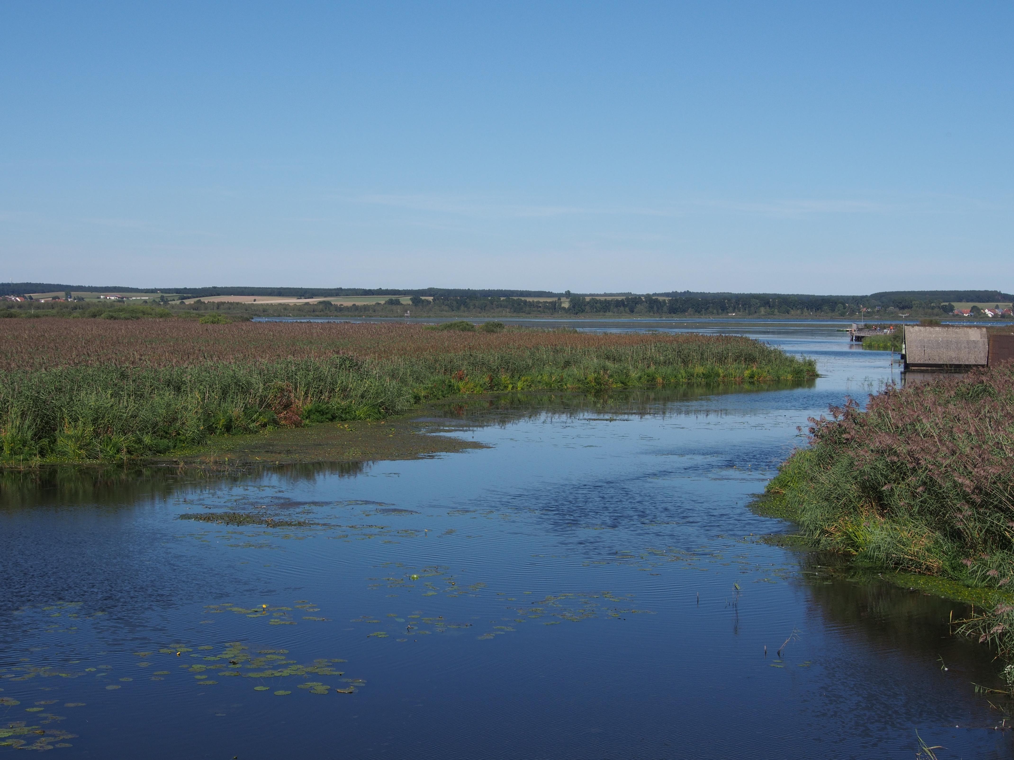 Federsee
