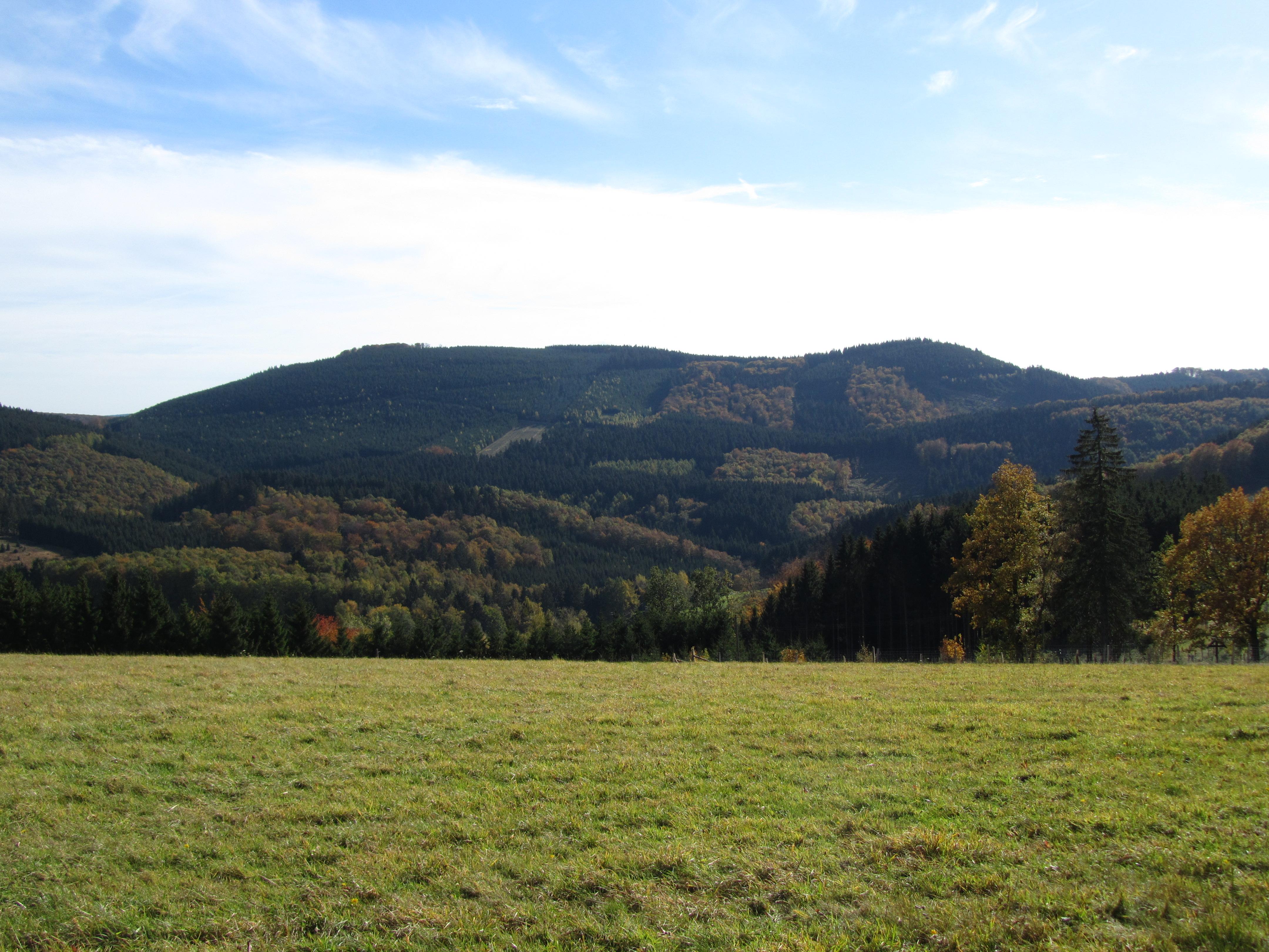 Himberg
