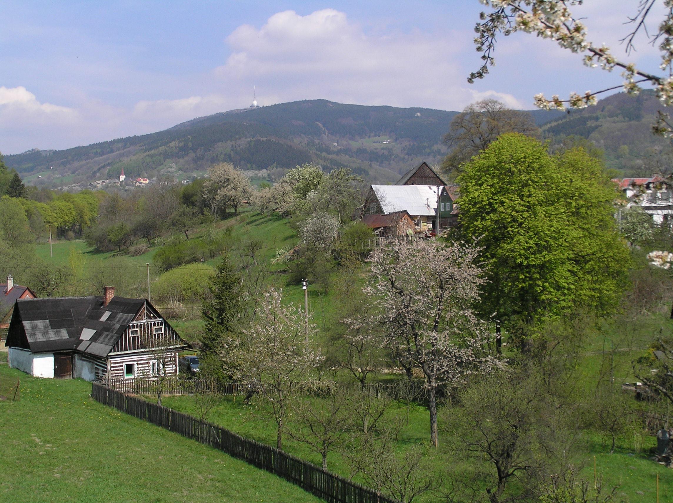 Javornik