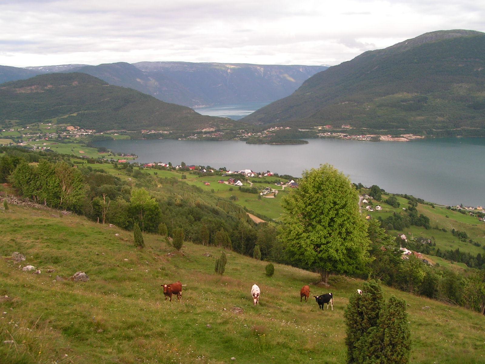 Hafslovatnet