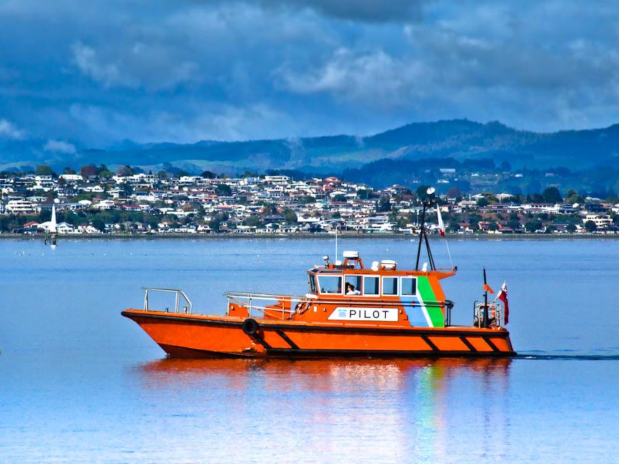 Hafen Tauranga