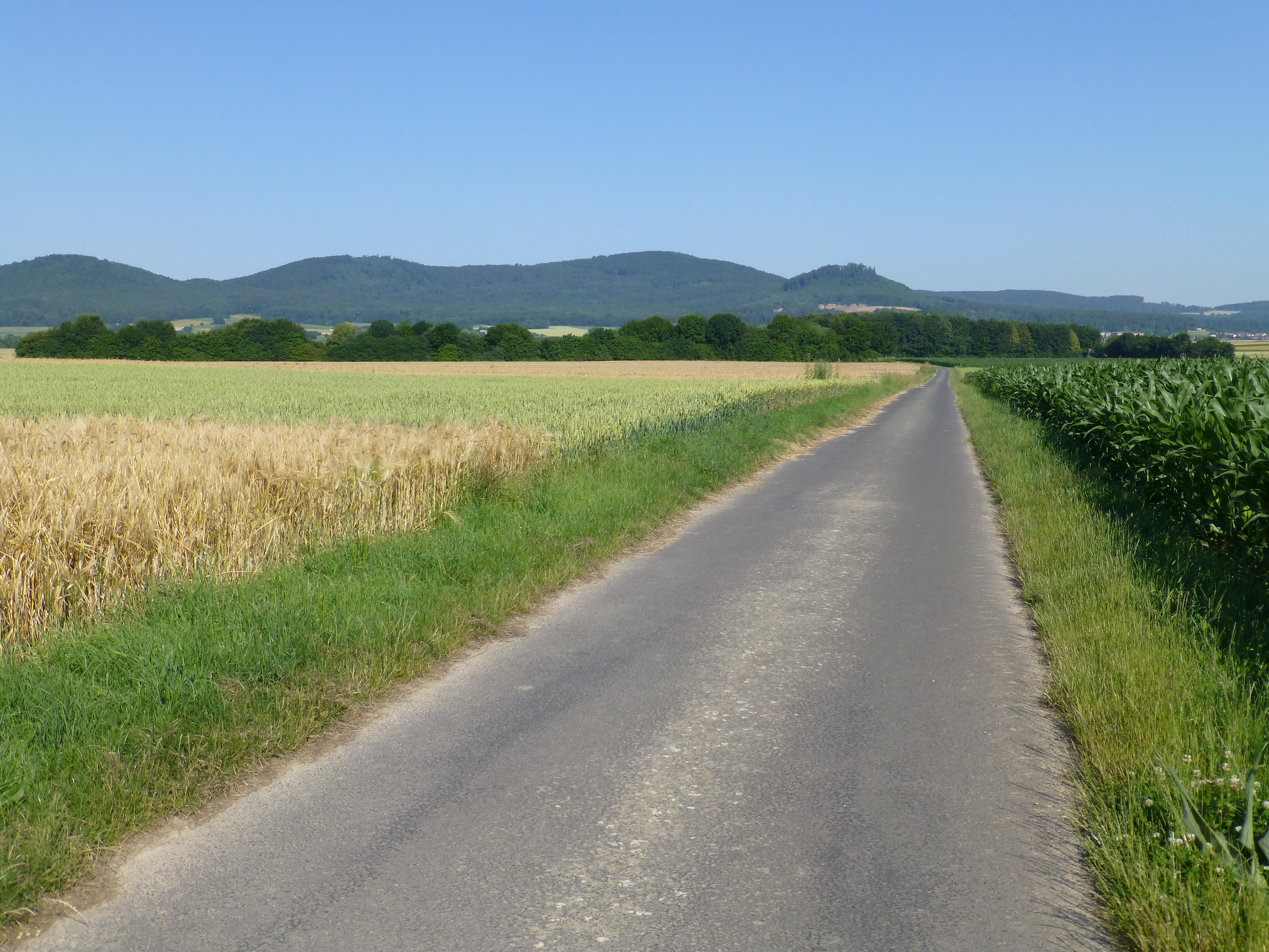 Laufskopf