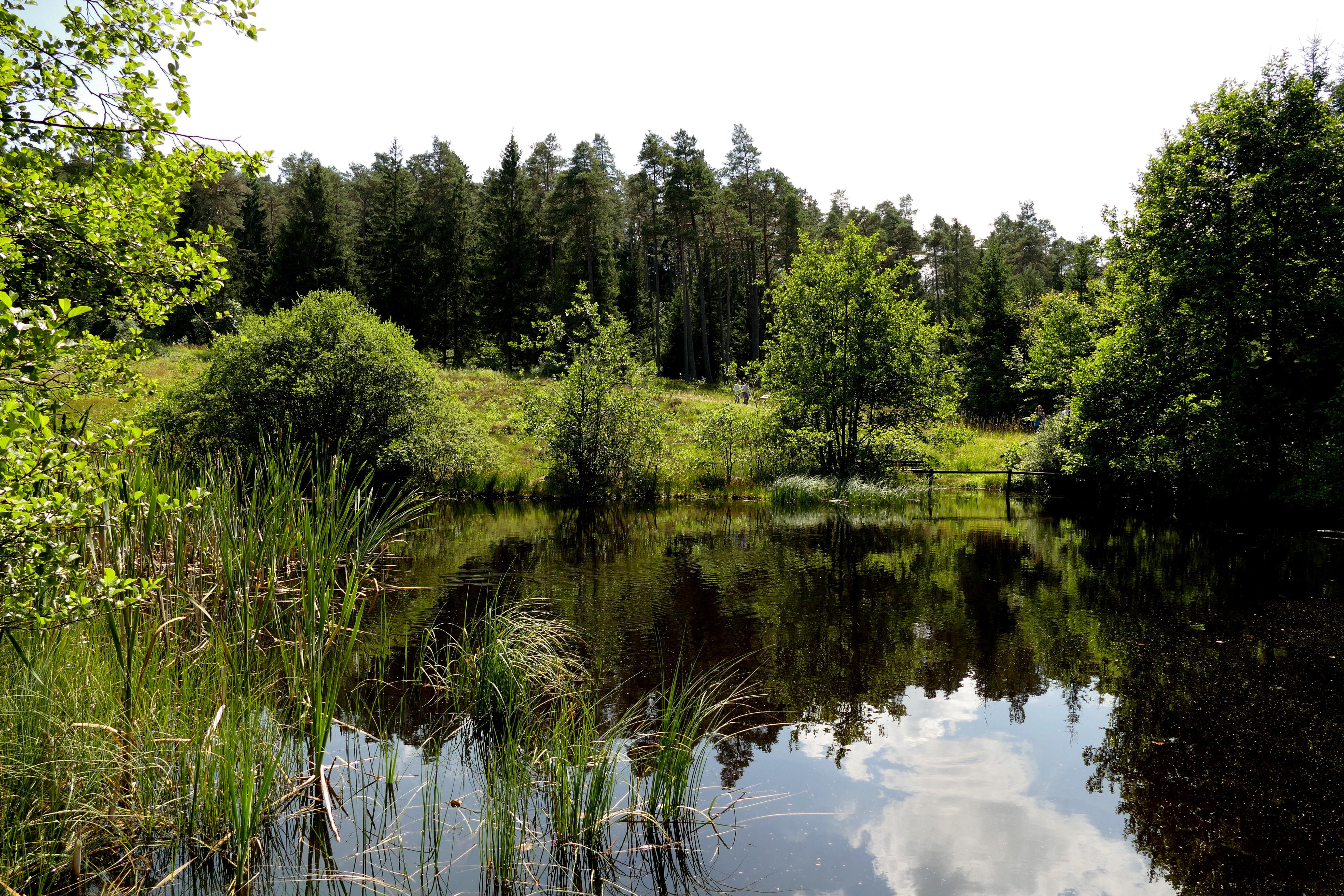 In der Wasserdell