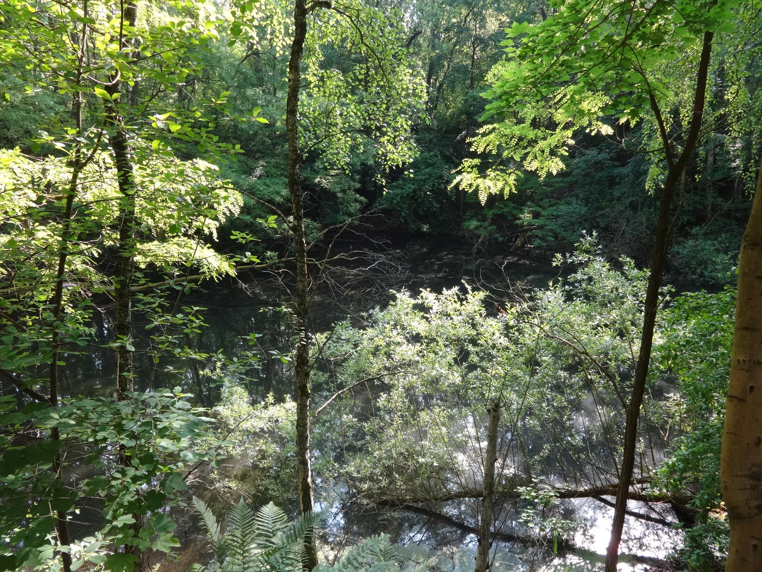 Blauer See