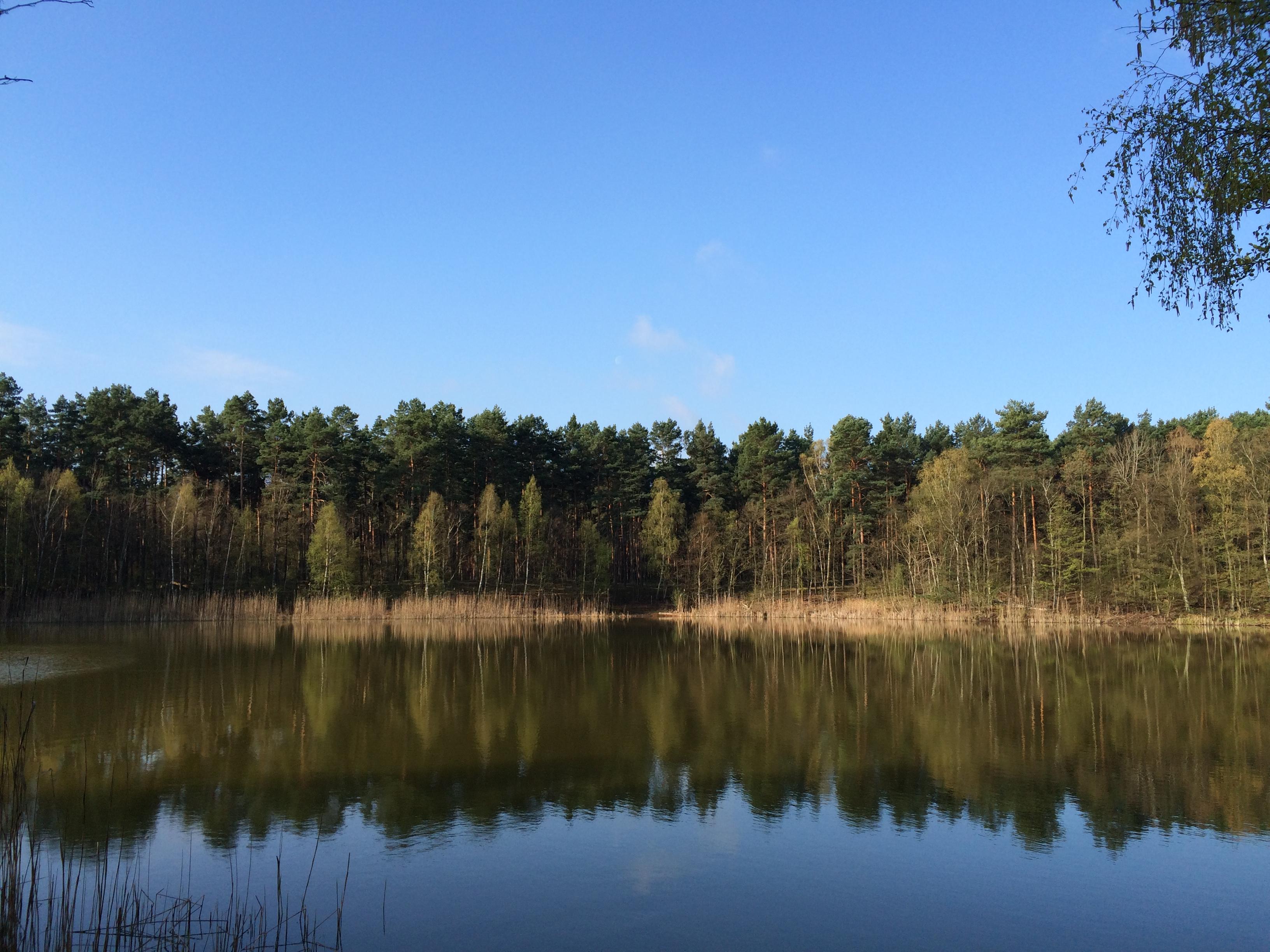 Nicolassee