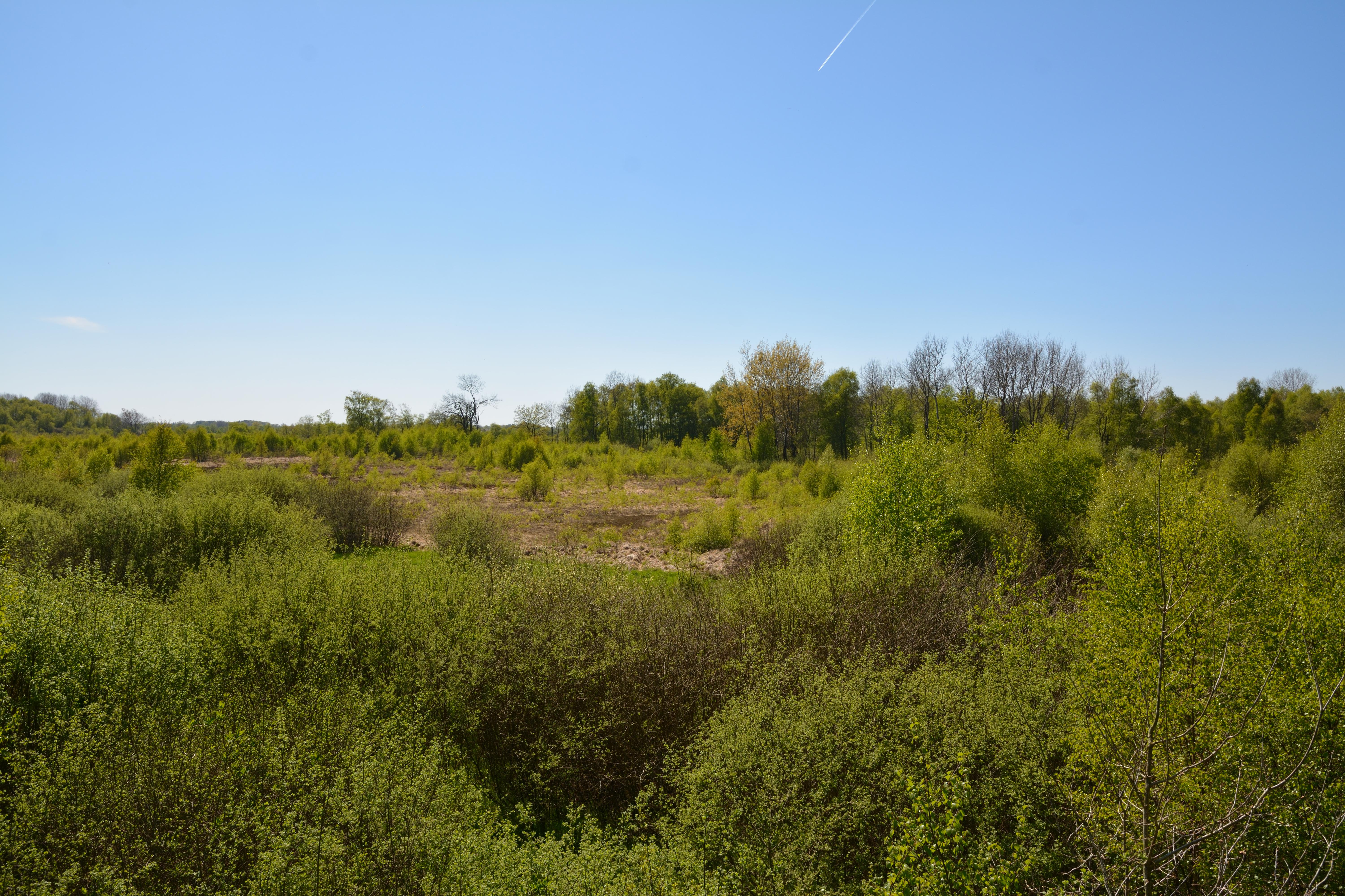Esprehmer Moor