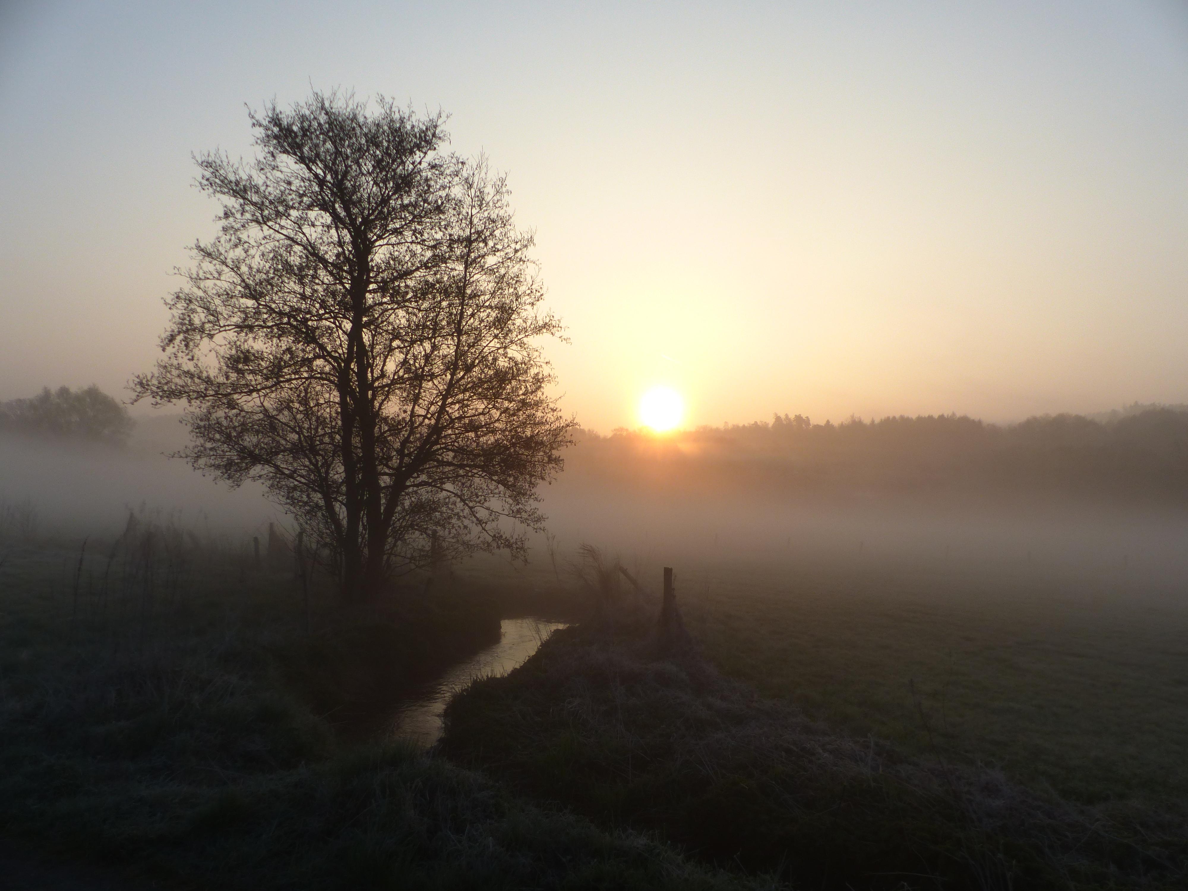 Wetterbachtal