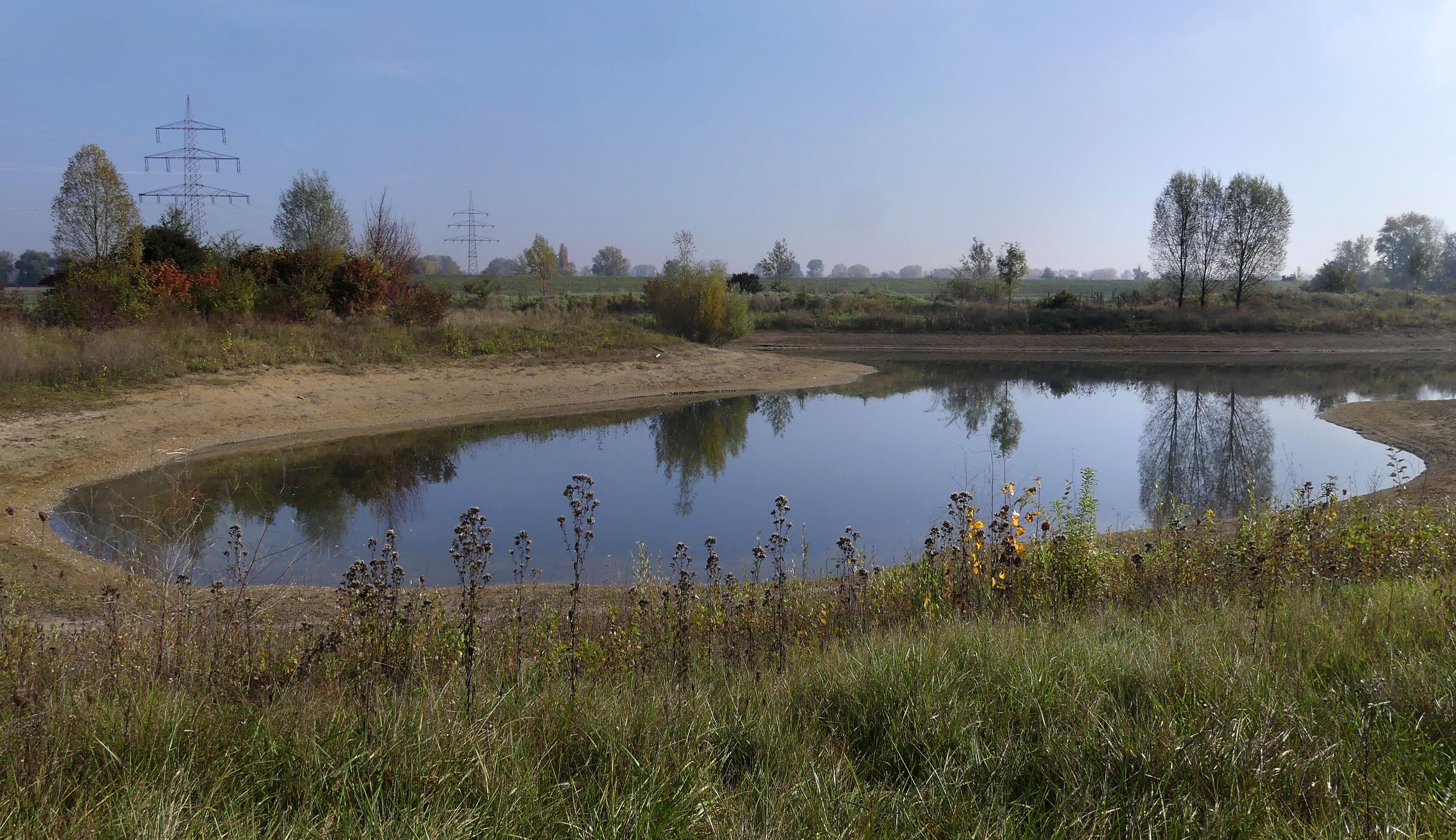 Laubenheimer-Bodenheimer Ried