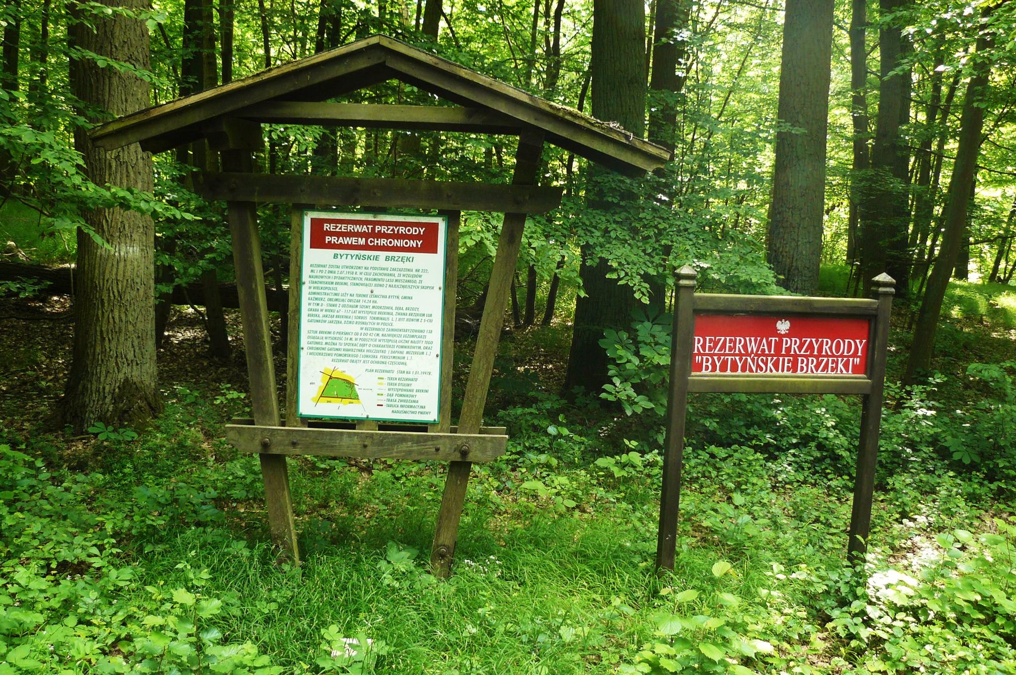 Rezerwat przyrody Bytyńskie Brzęki