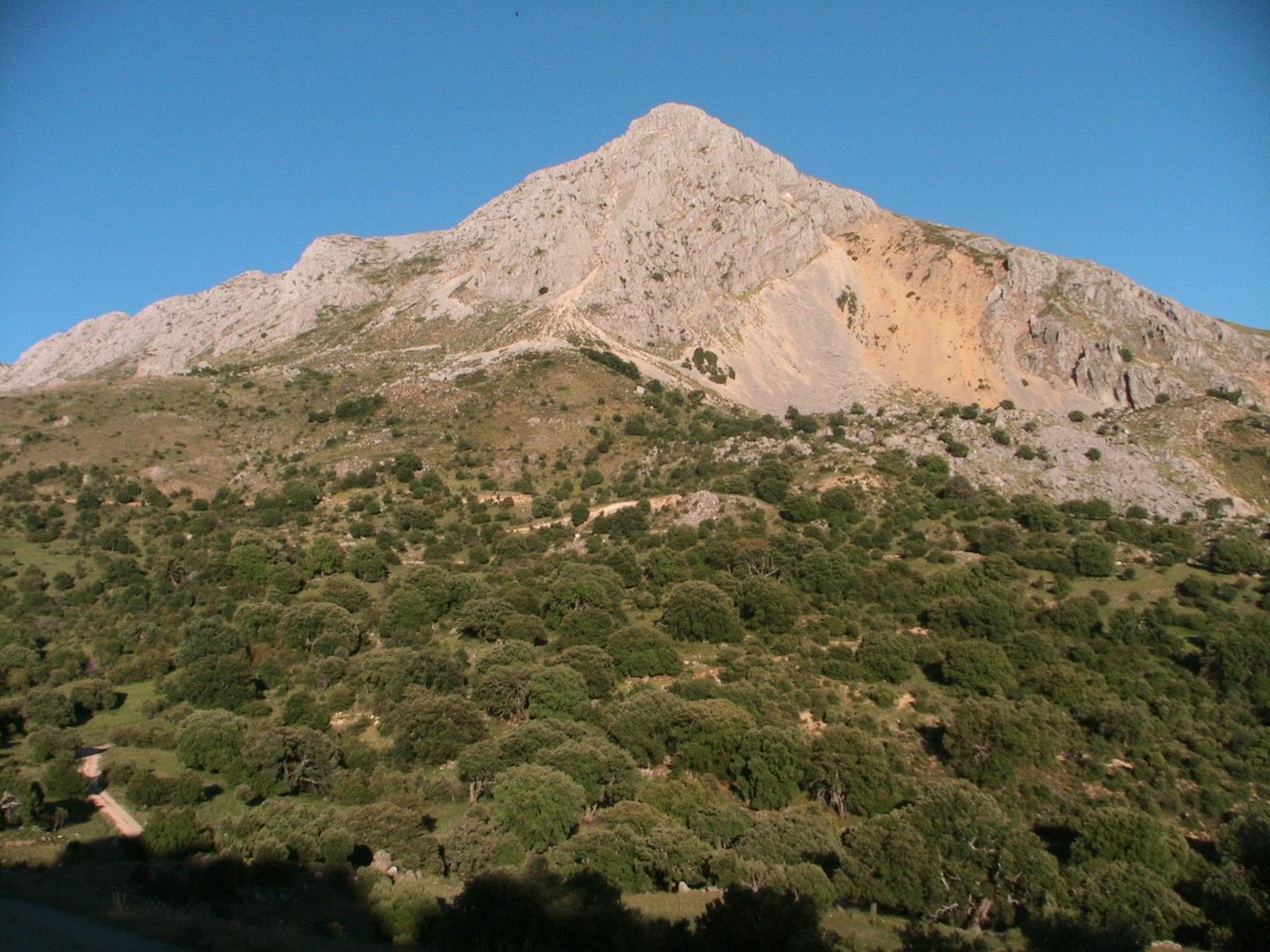 Peña Jaén