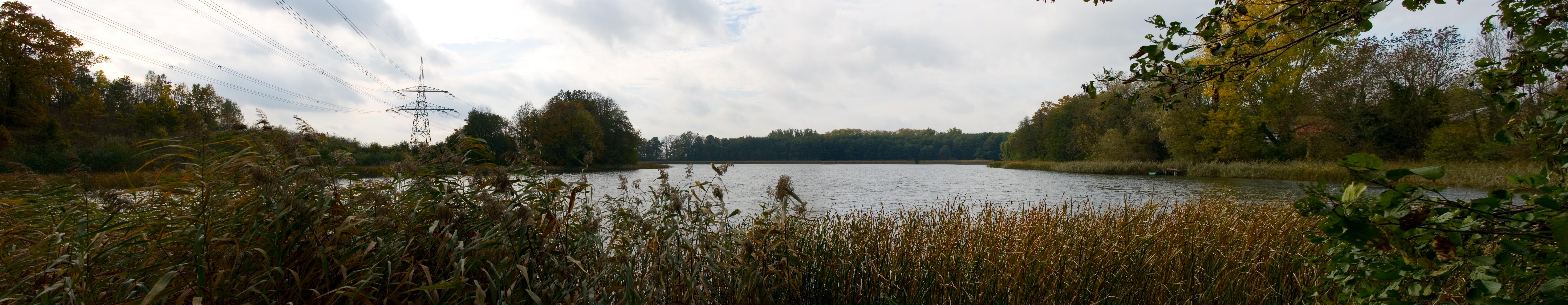 Hofsee