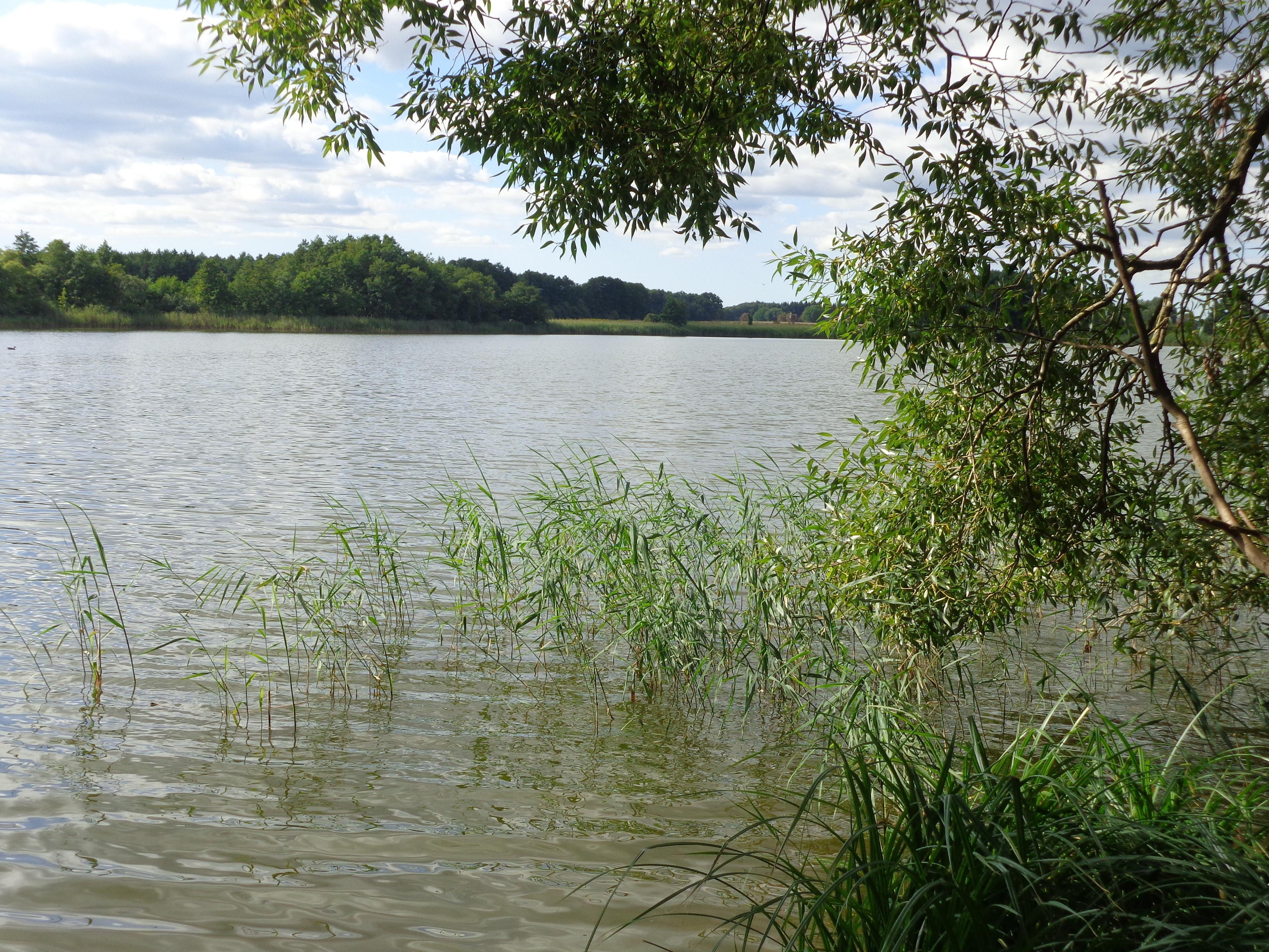 Heidensee