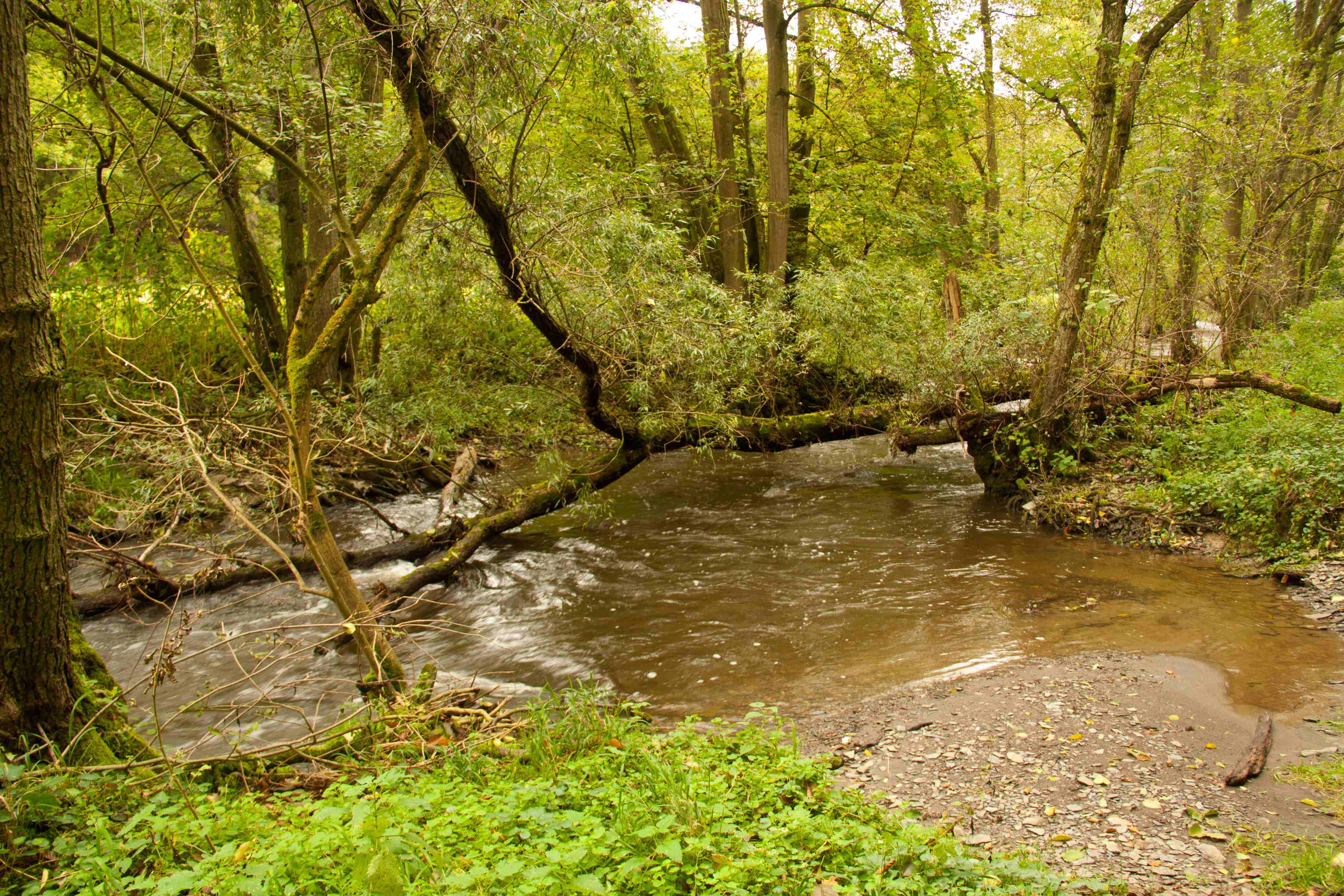 Nettetal