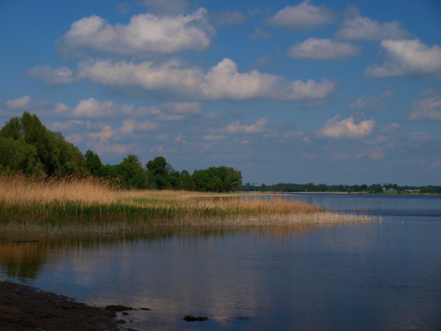 Dręstwo