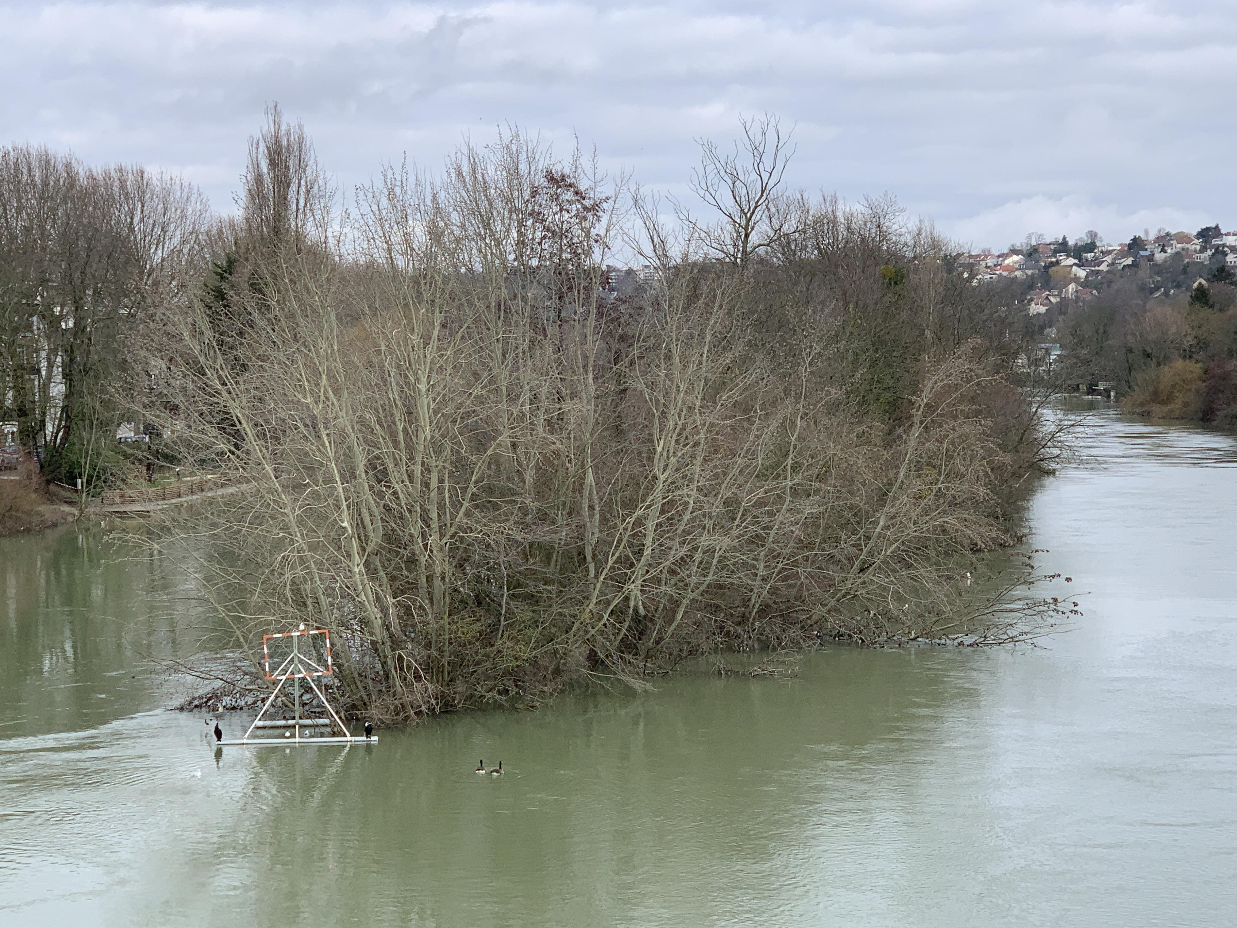 île de Casenave