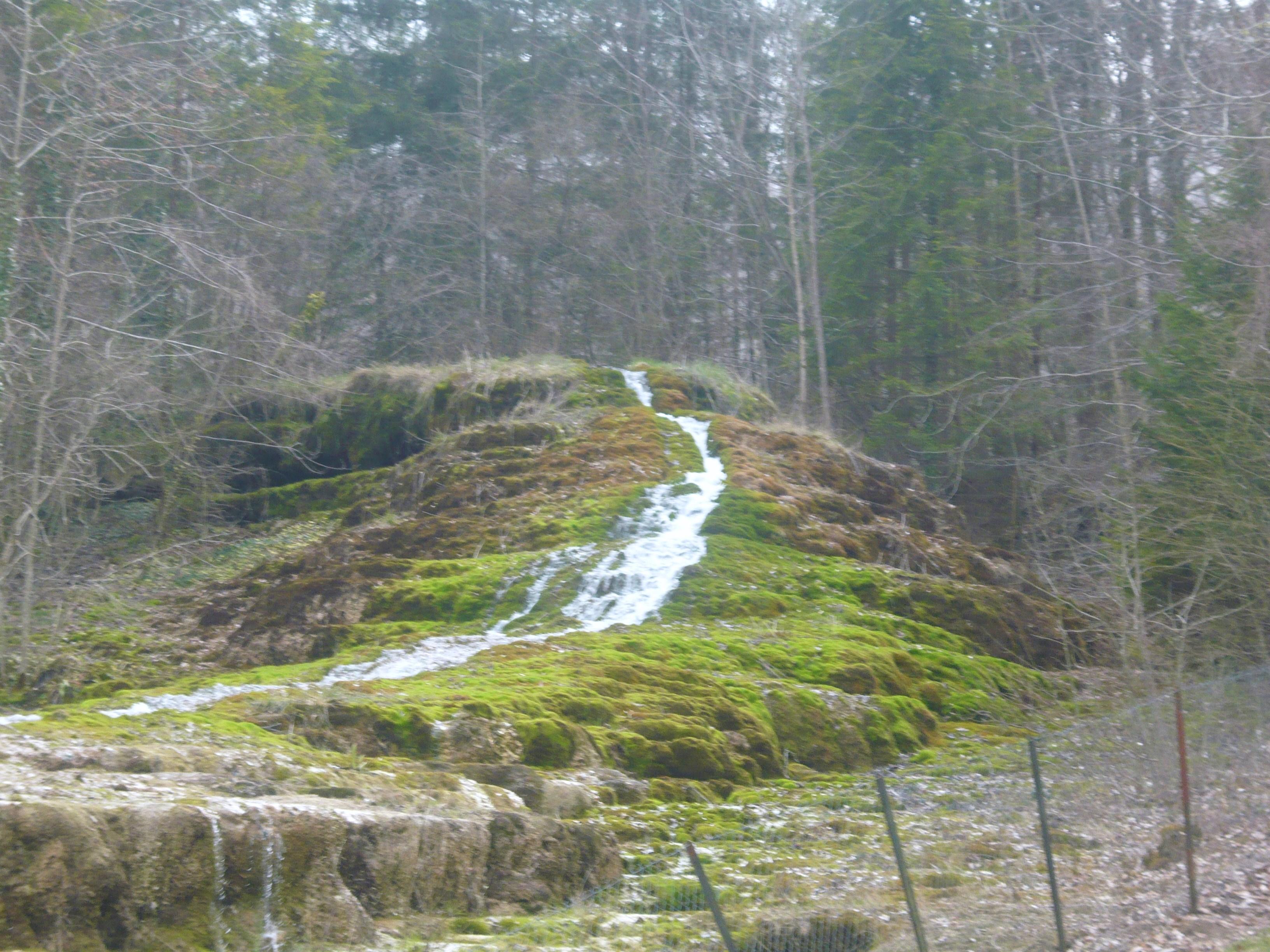 Forêt d'Auberive