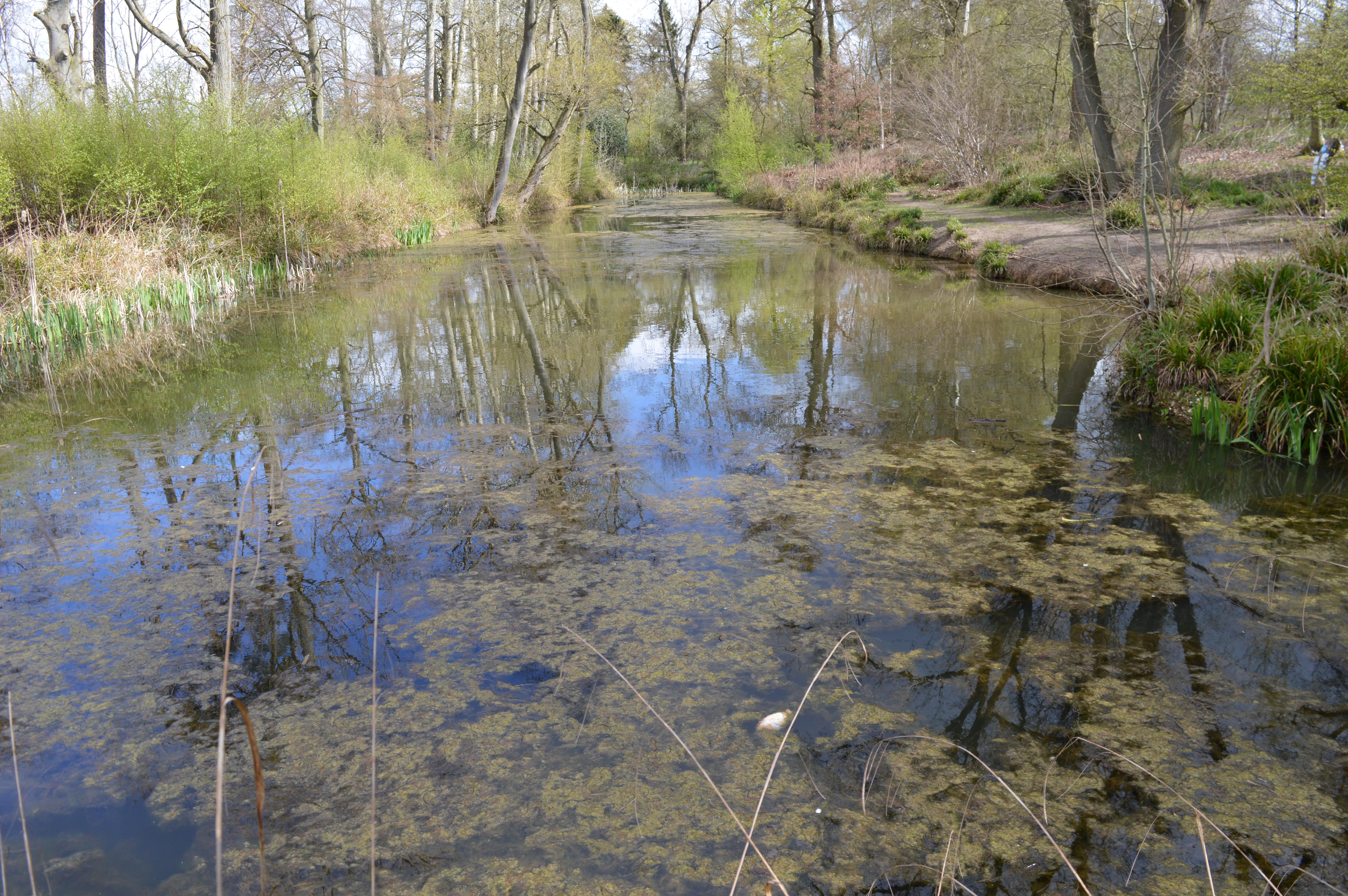 Aubrey Buxton Nature Reserve