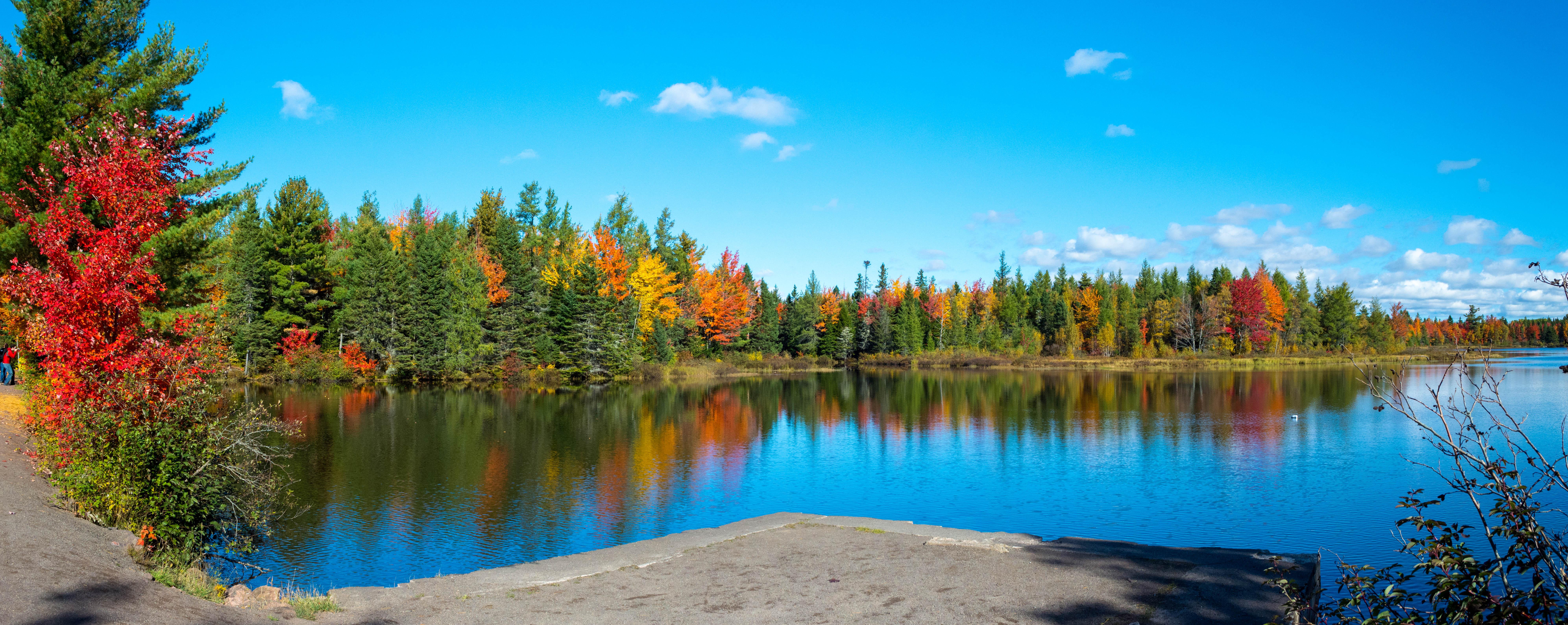 Irishtown Nature Park
