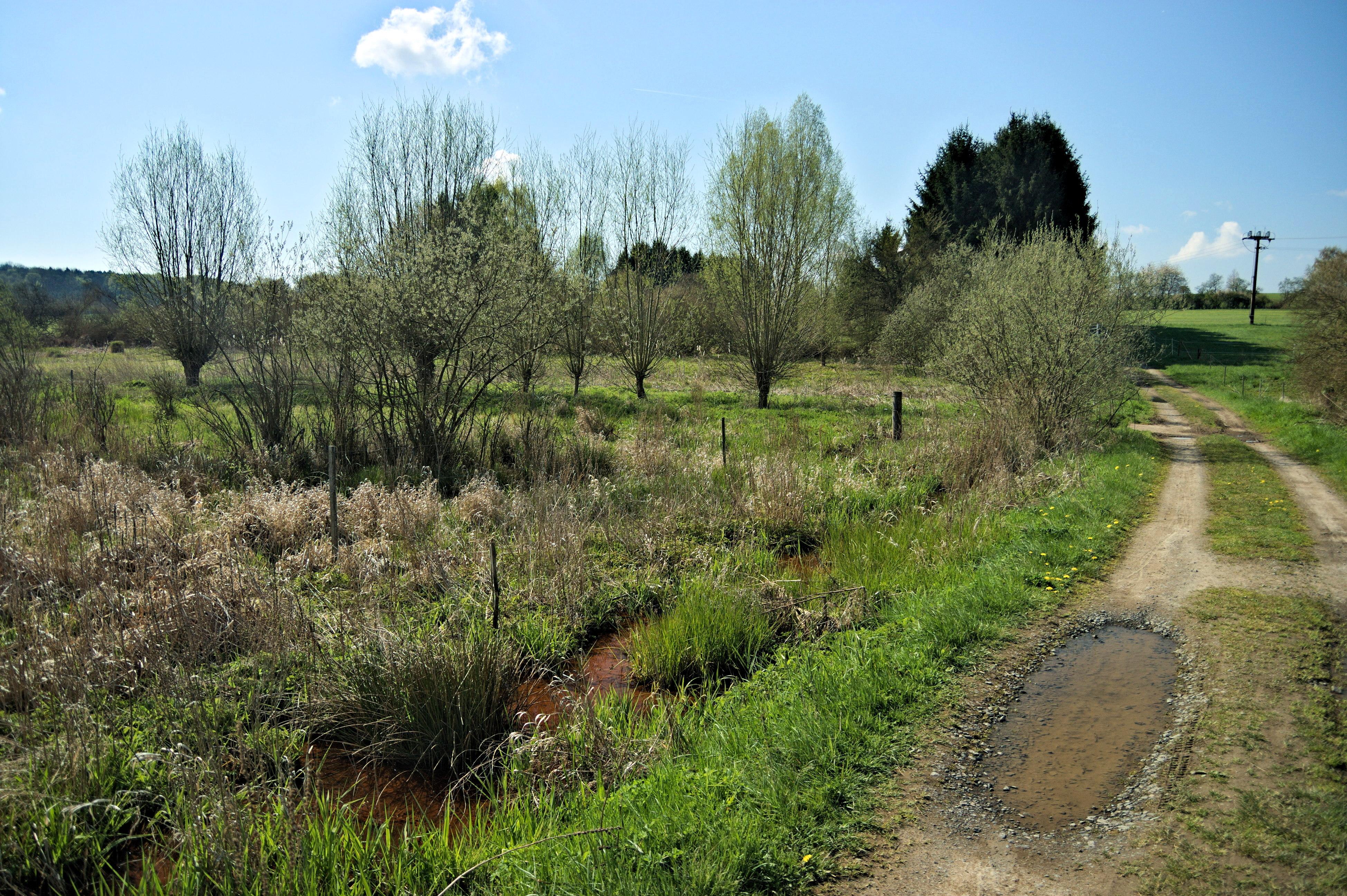 Holzbachtal