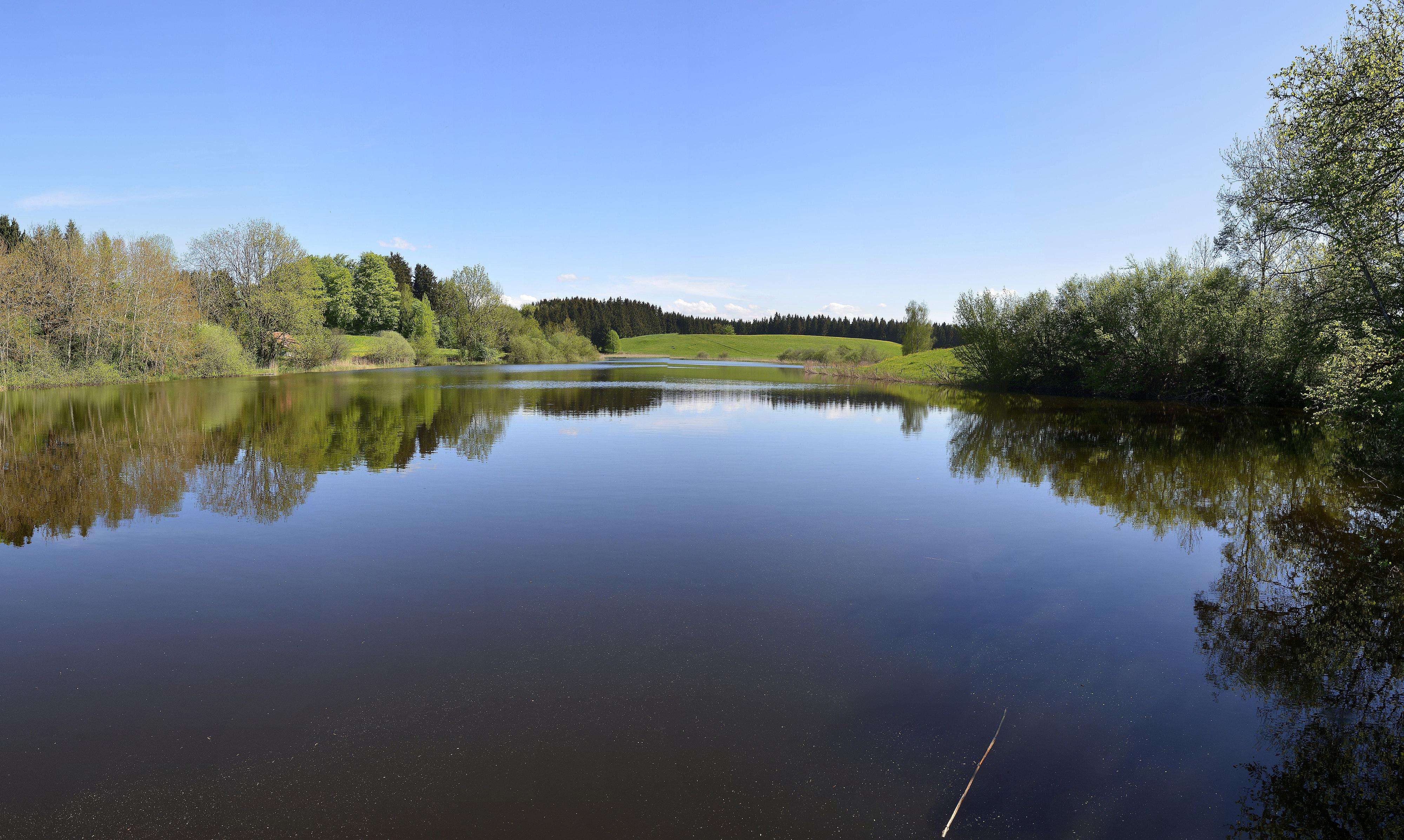 Staudacher Weiher