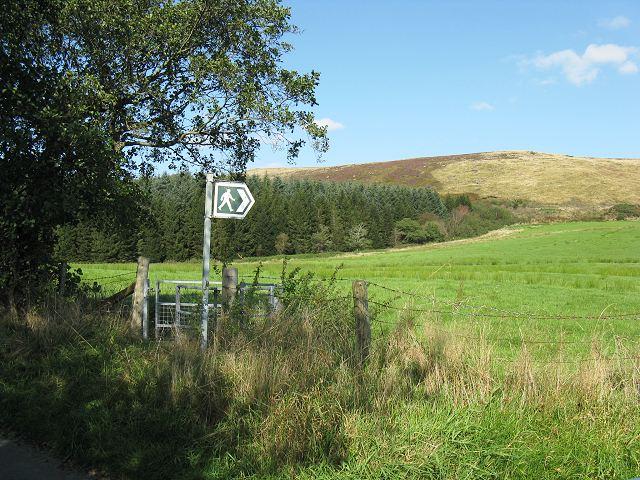 Mynydd Allt-y-grug