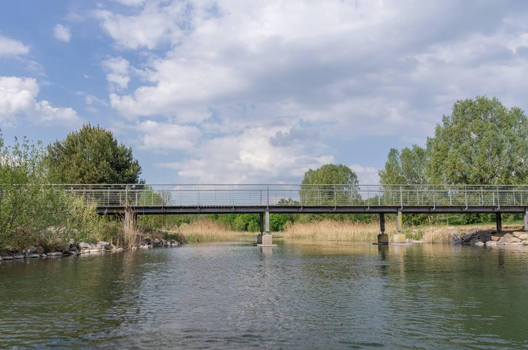 Cospudener See