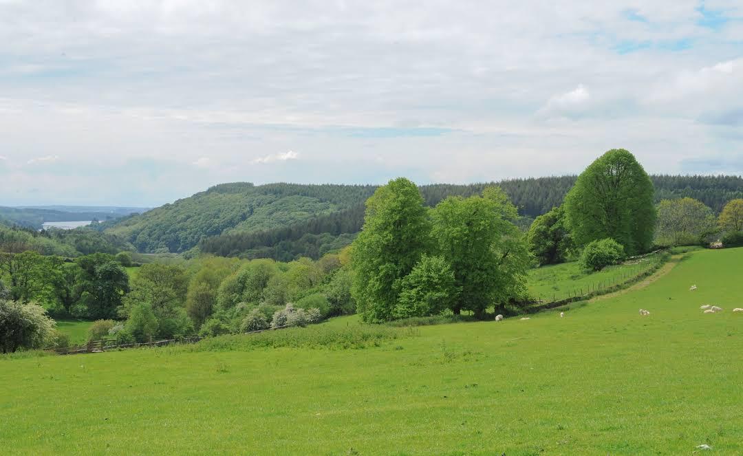 National Trust