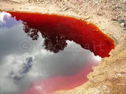 Parco Minerario