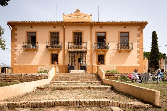 Bodega Vera de Estenas