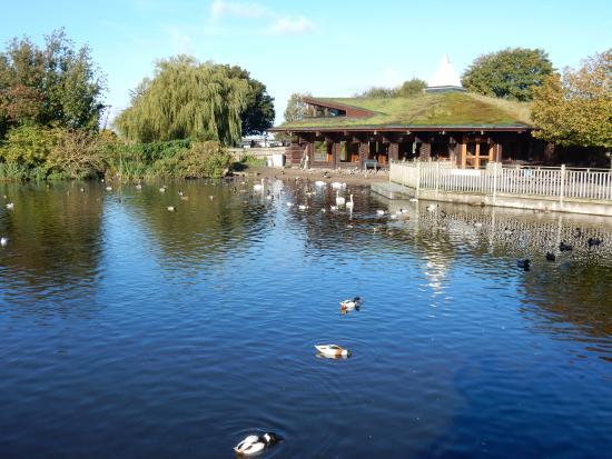 WWT Martin Mere Wetland Centre