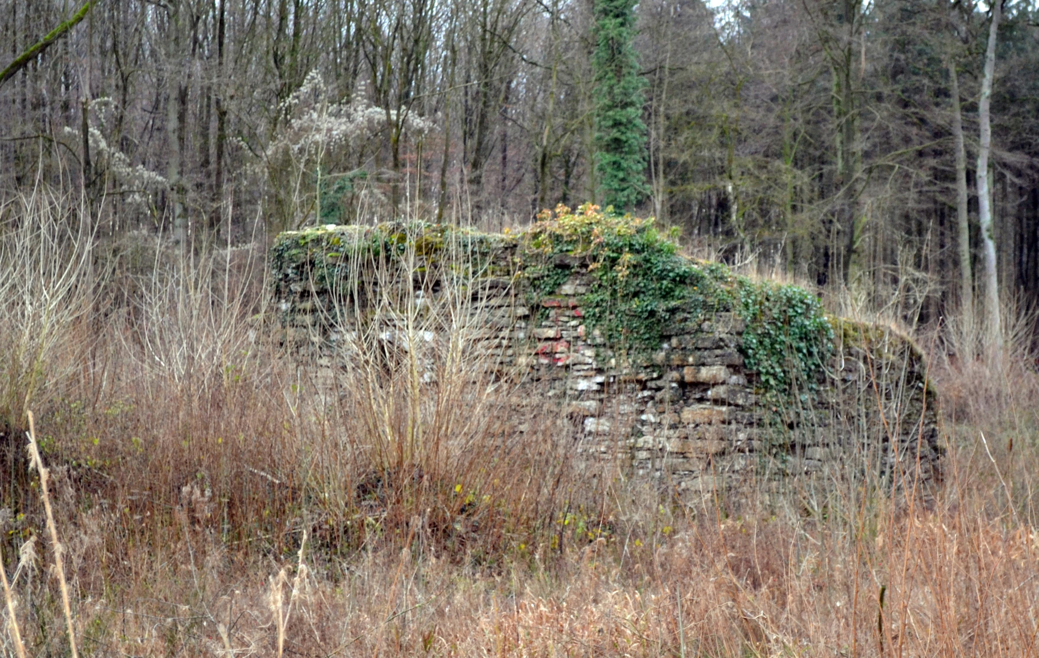 Burg Nienburg