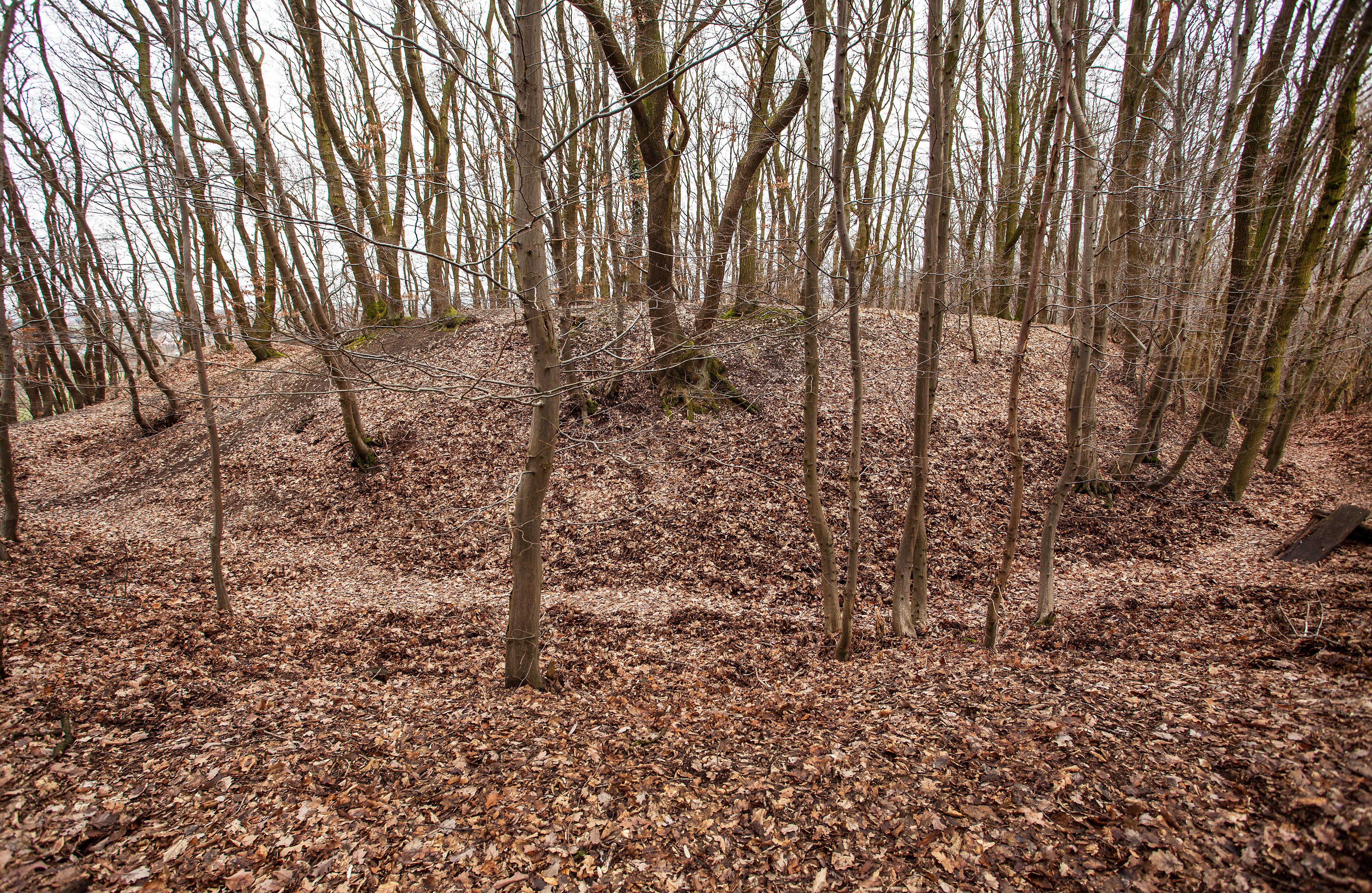 Burg Holtrup