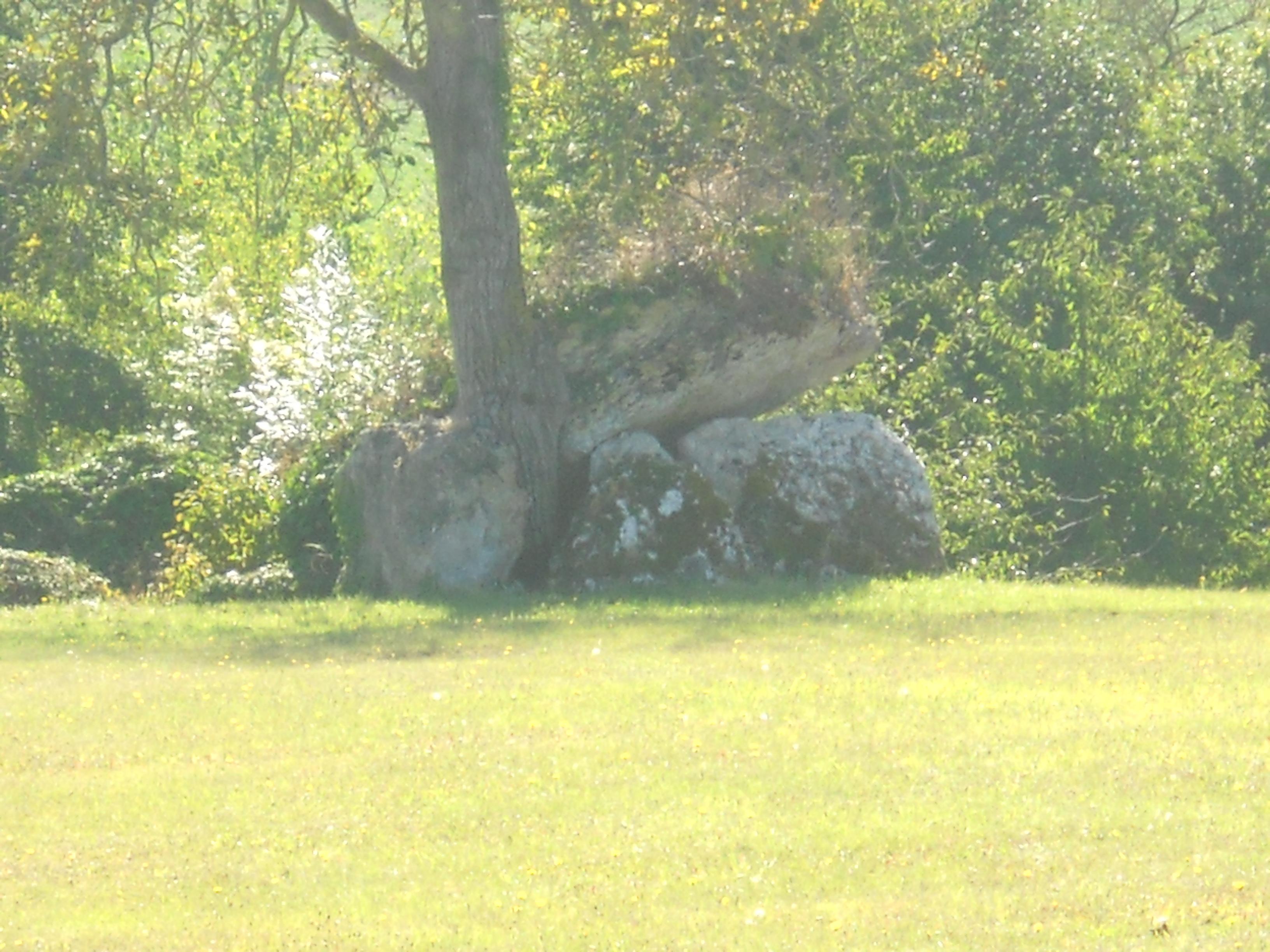 dolmen du Ver