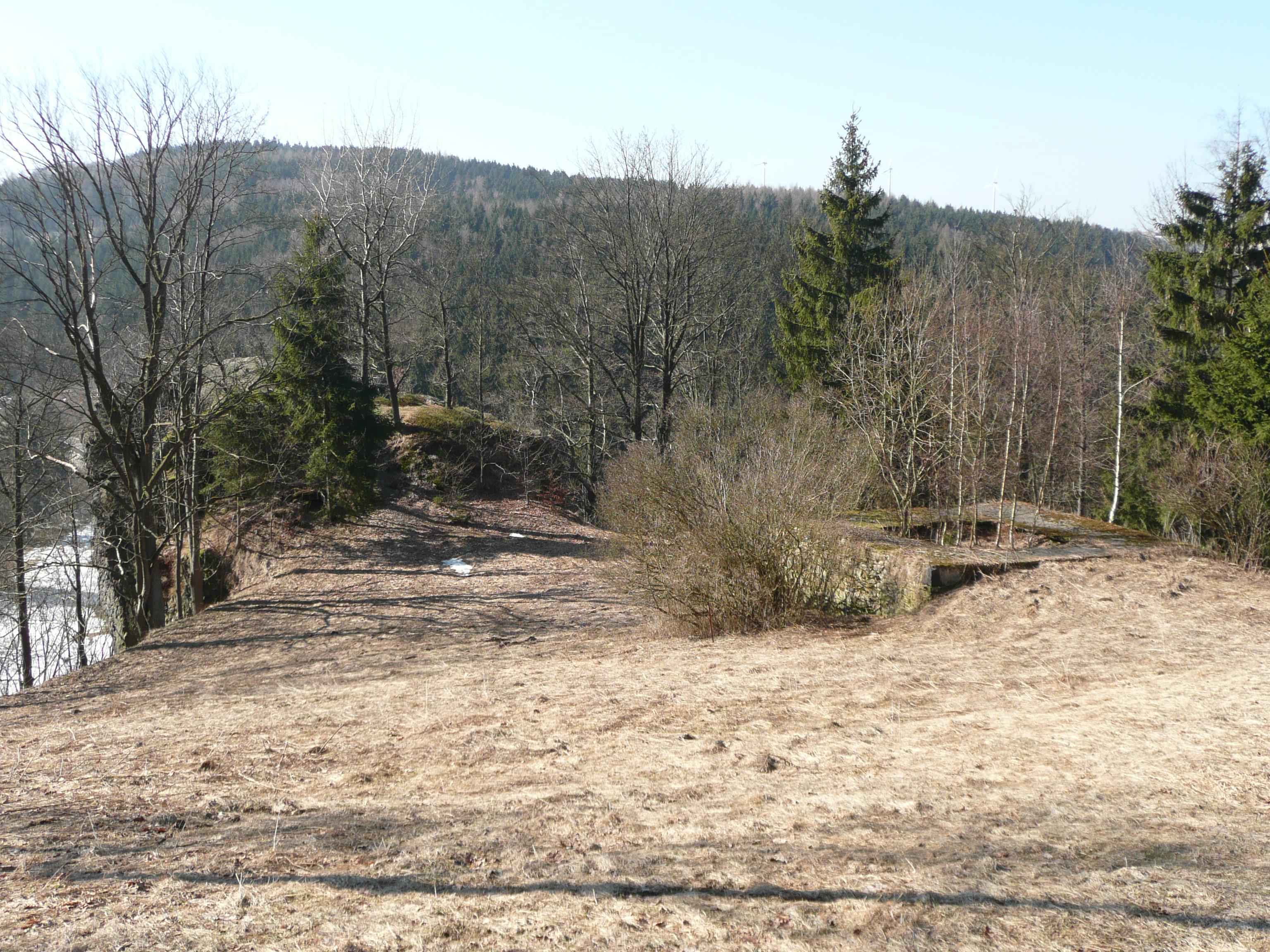 Burg Nidberg