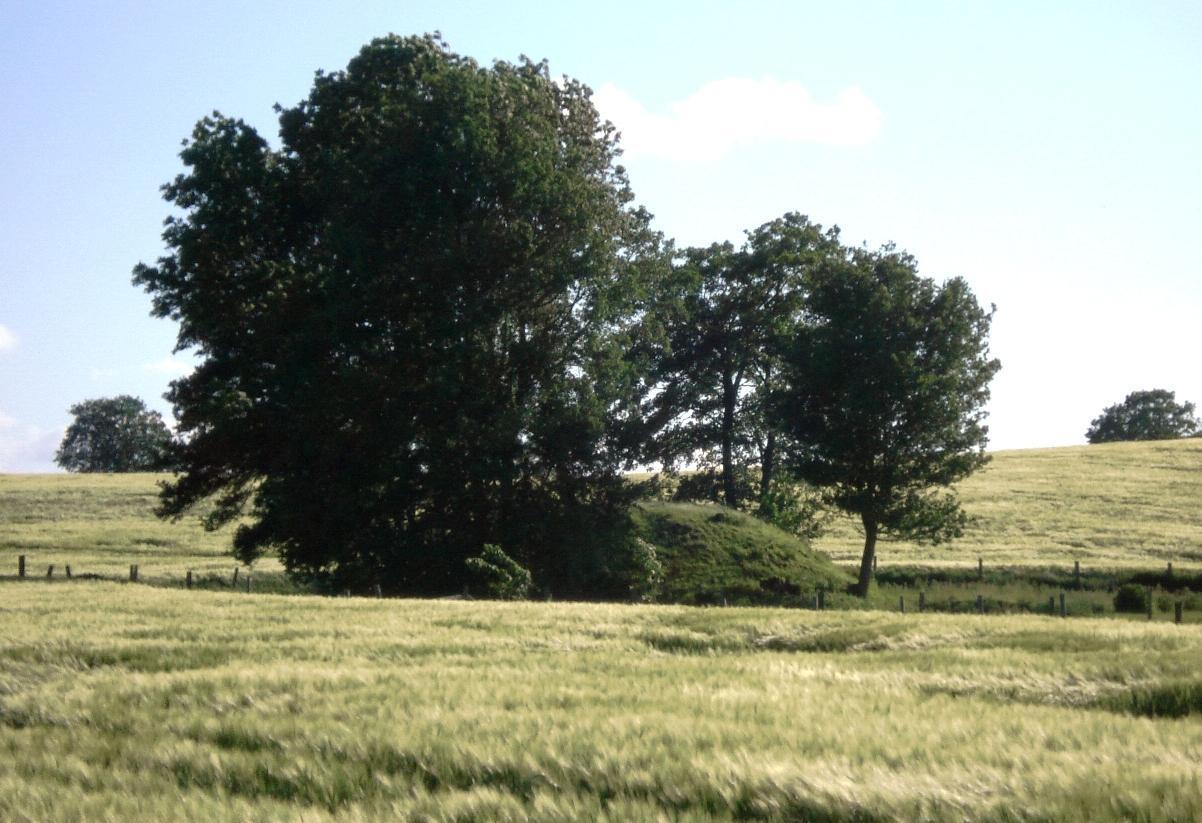 Döhnsdorfer Burg