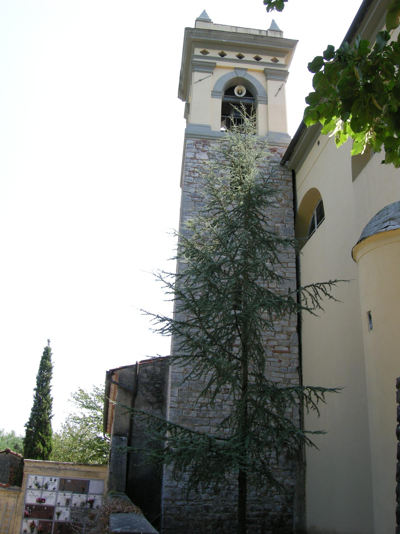 Chiesa di San Lorenzo a Farneta