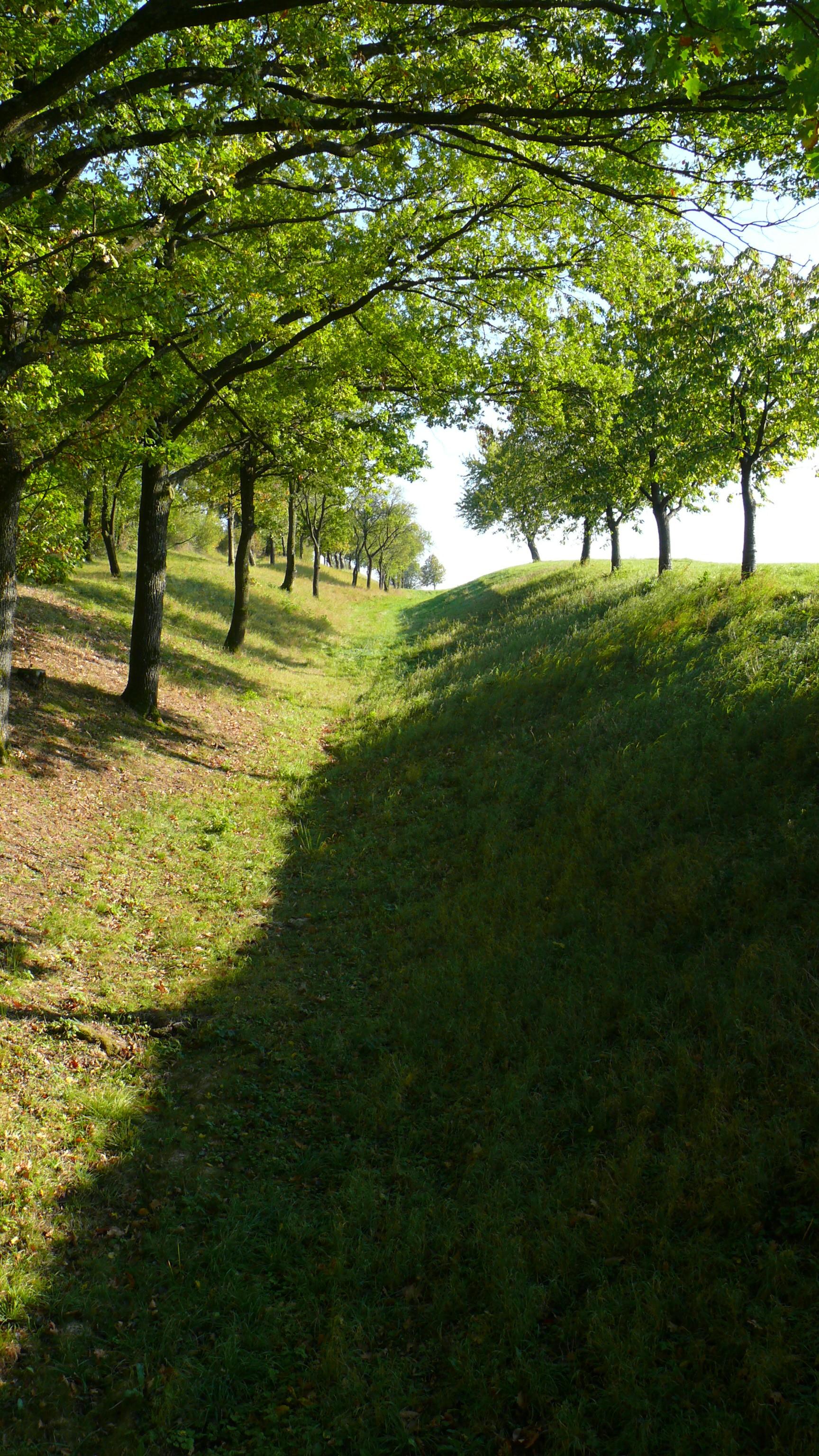 Oppidum Finsterlohr