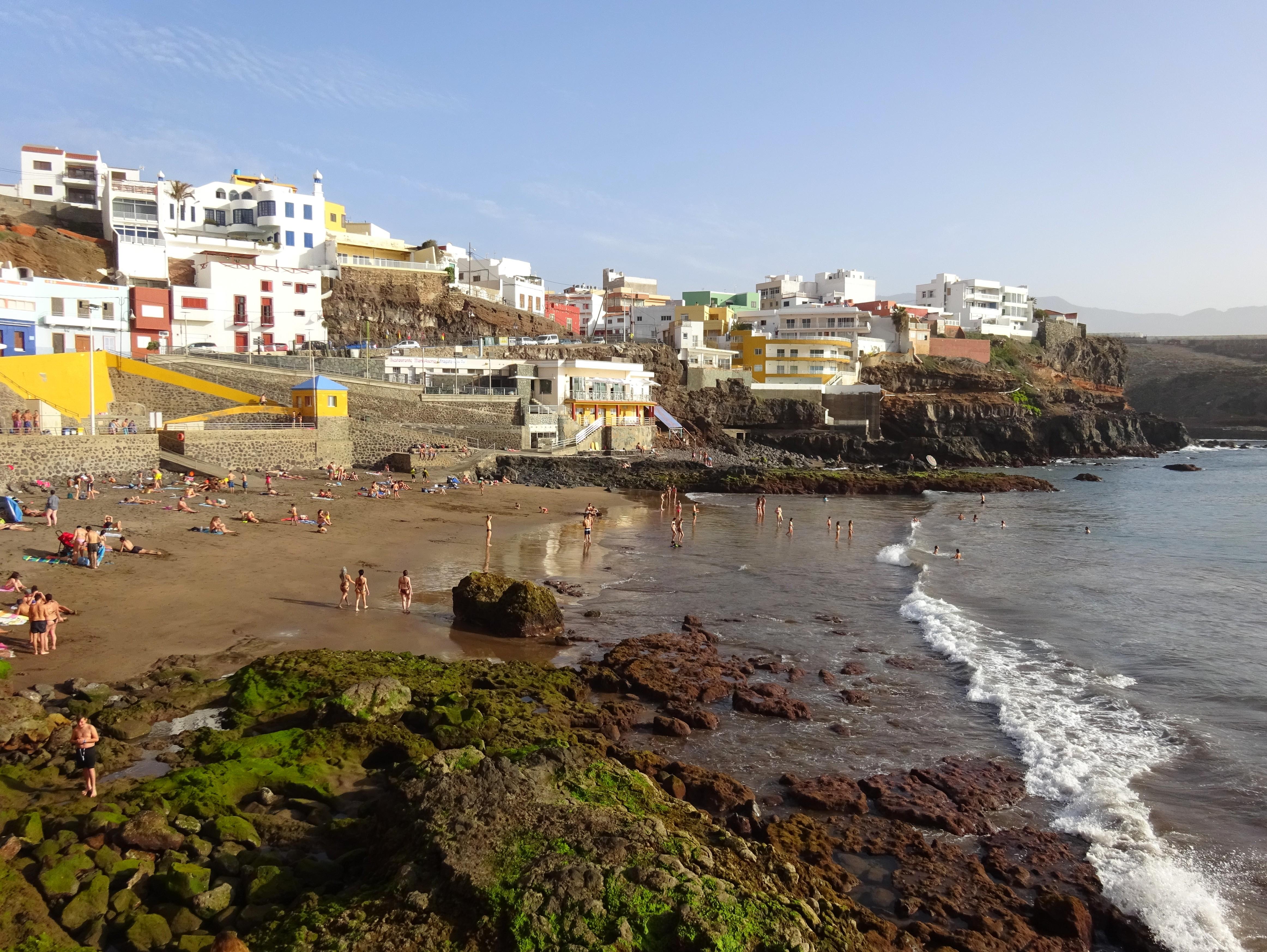 Sardina
