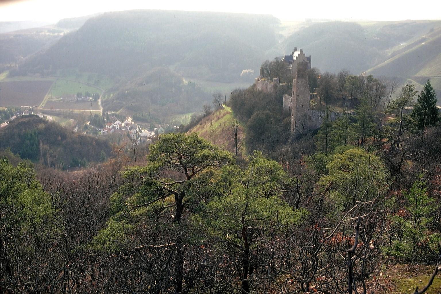 Altenbamberg