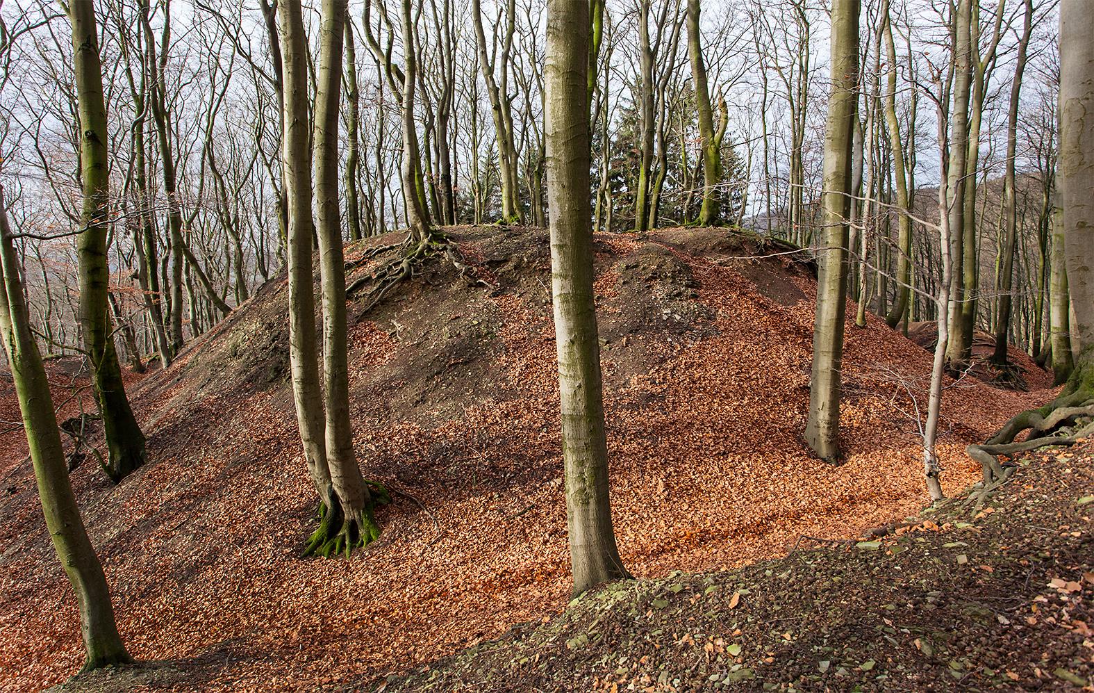 Burg Alt-Sternberg