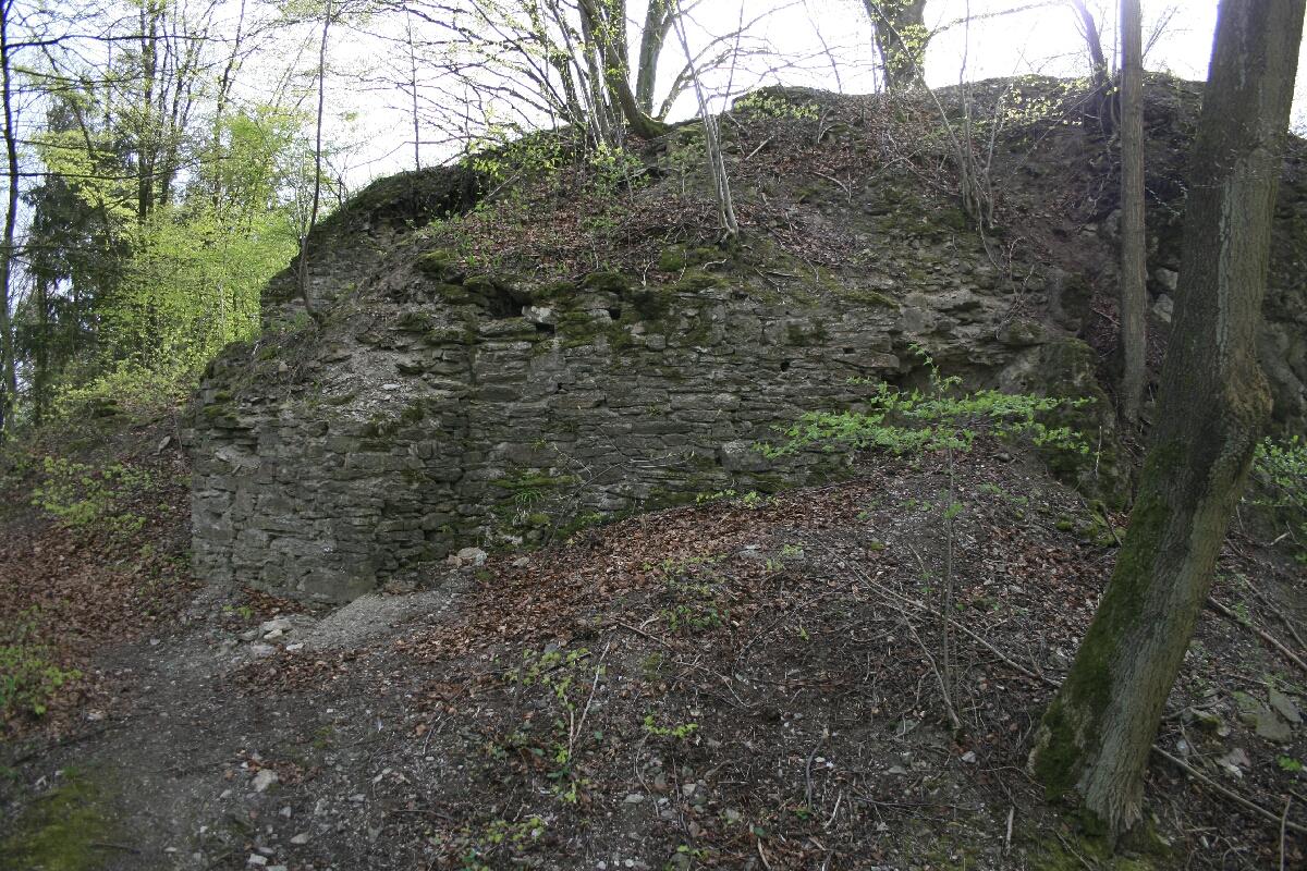 Burg Borghausen