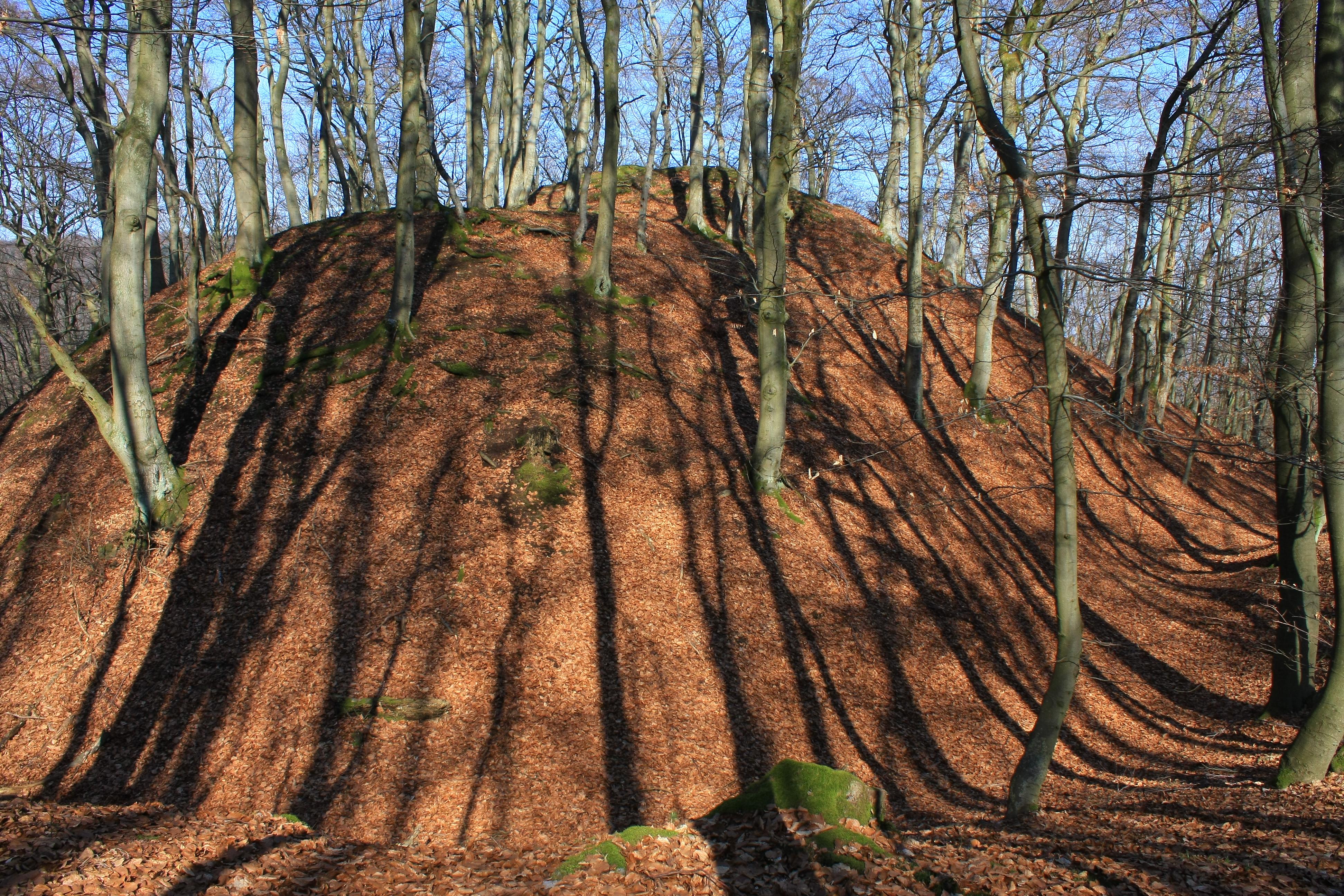 Burg Hollende