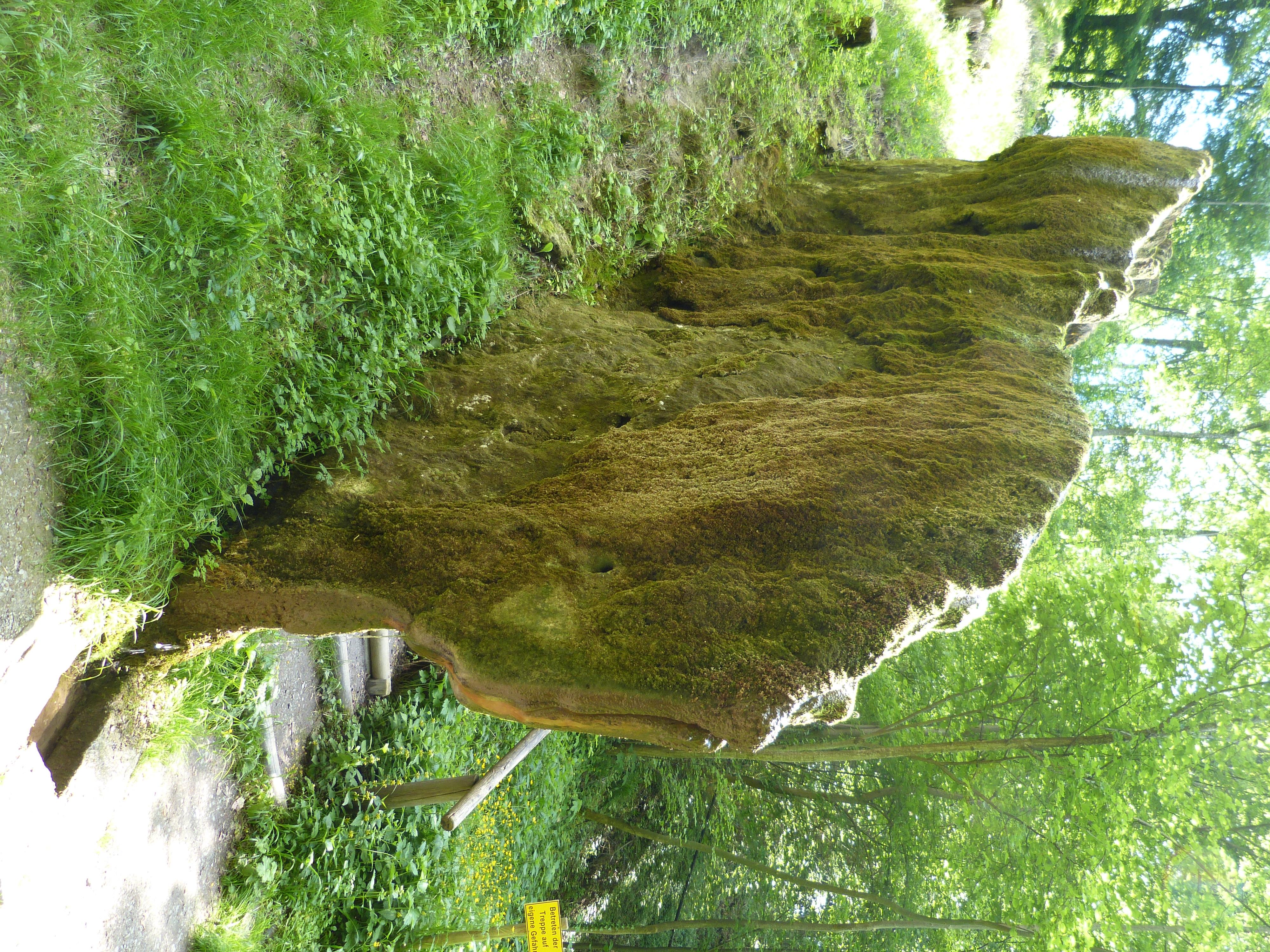 Wachsender Felsen