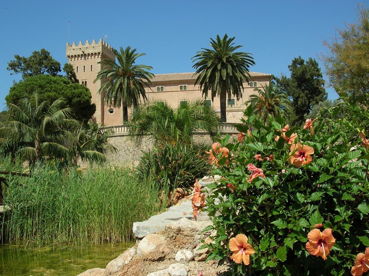 Castell de Son Mas